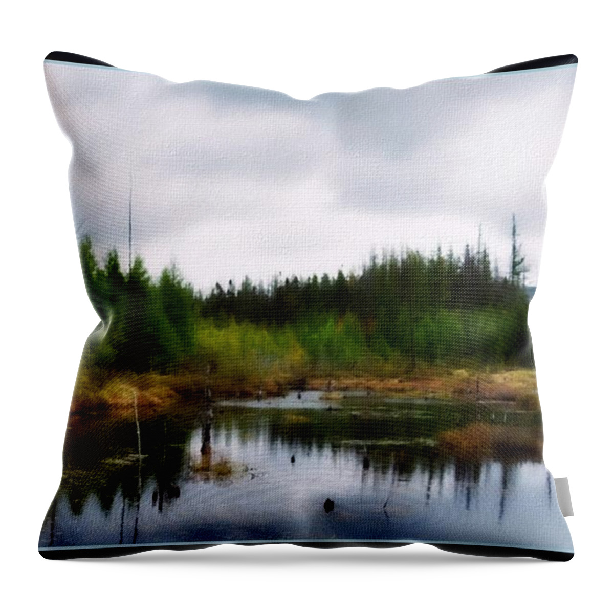 Adirondack Mountains Throw Pillow featuring the painting Backcountry Lake - Adirondacks by Linda Seifried