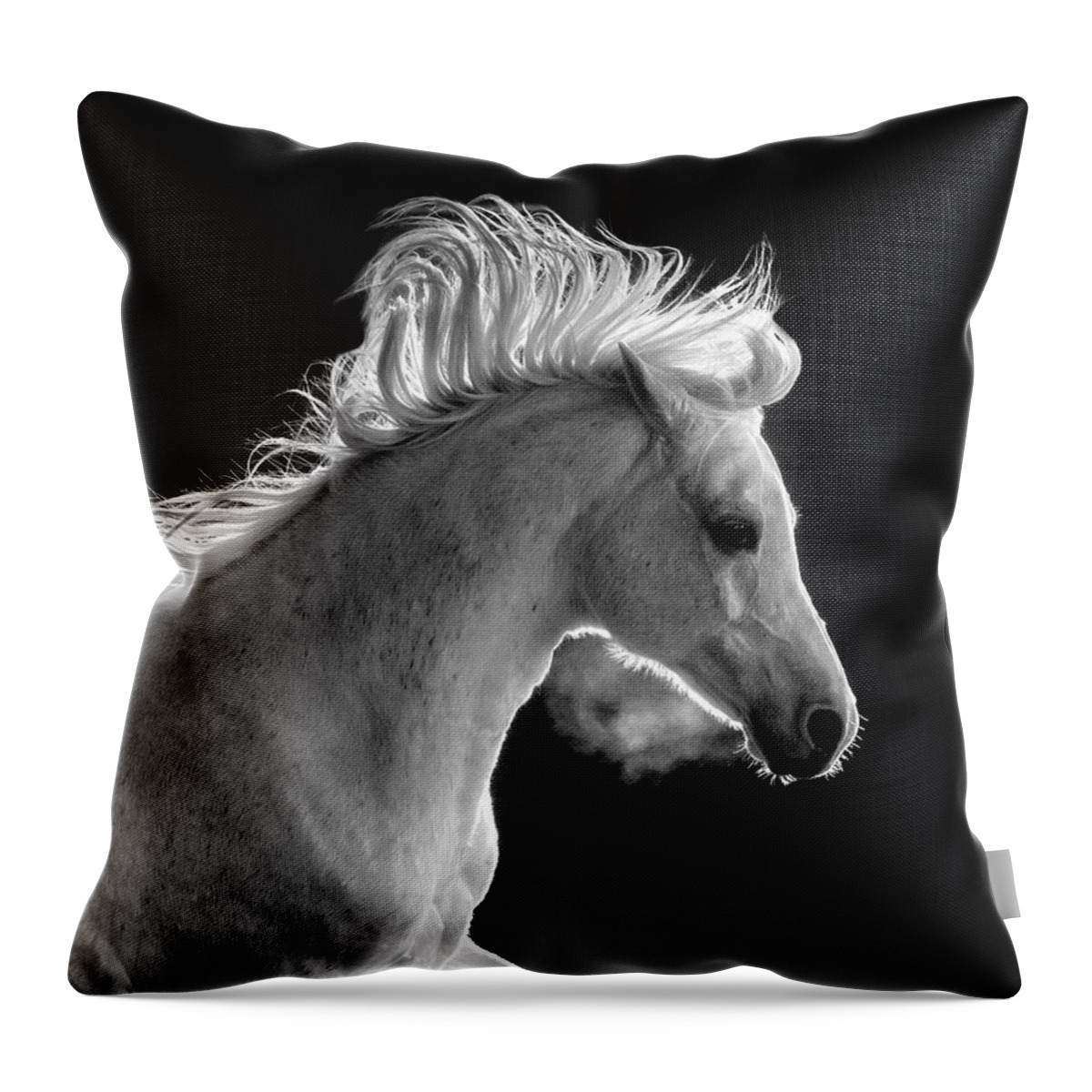 Backlit Arabian Throw Pillow featuring the photograph Backlit Arabian by Wes and Dotty Weber