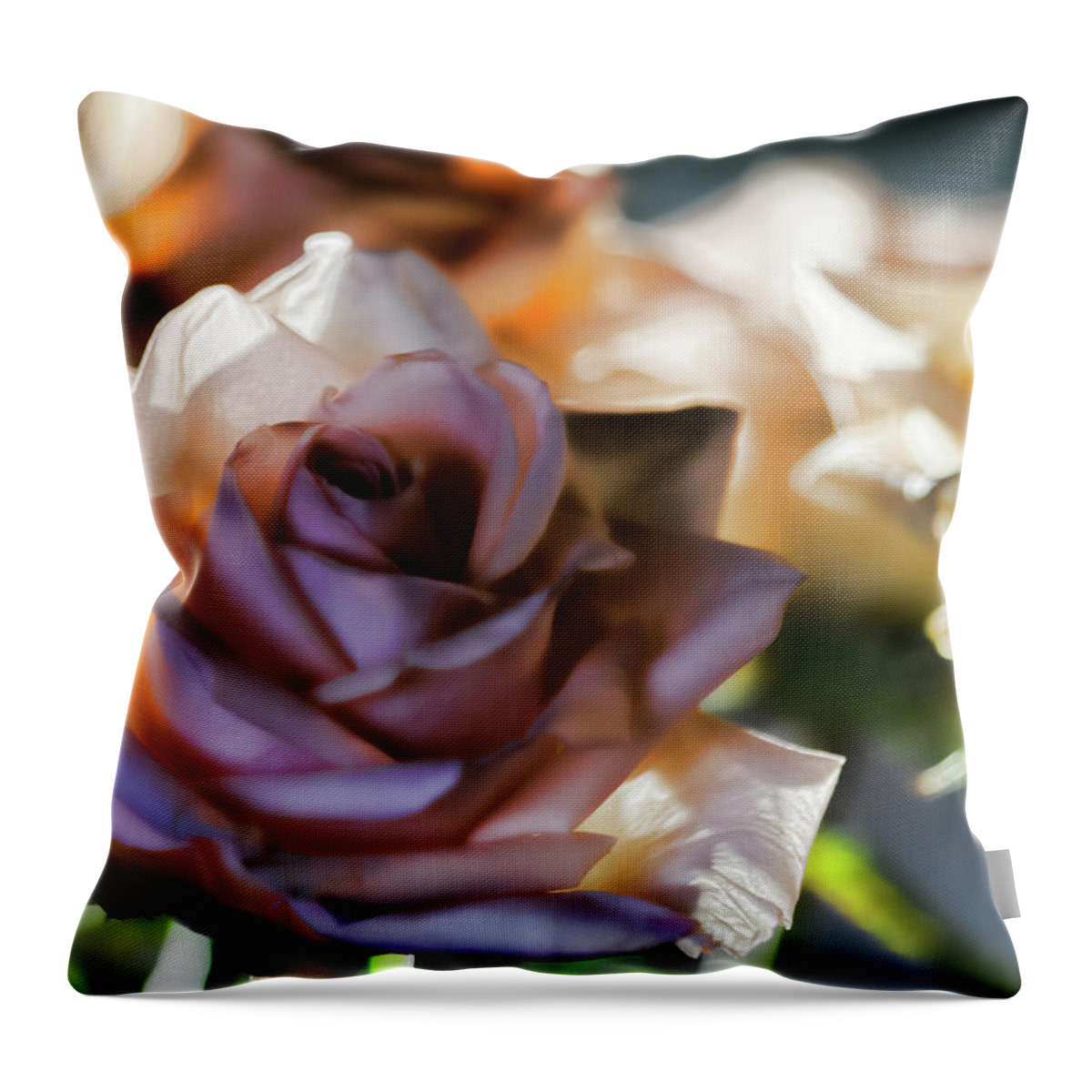 Flower Throw Pillow featuring the photograph Backlit Bouquet by Alana Thrower