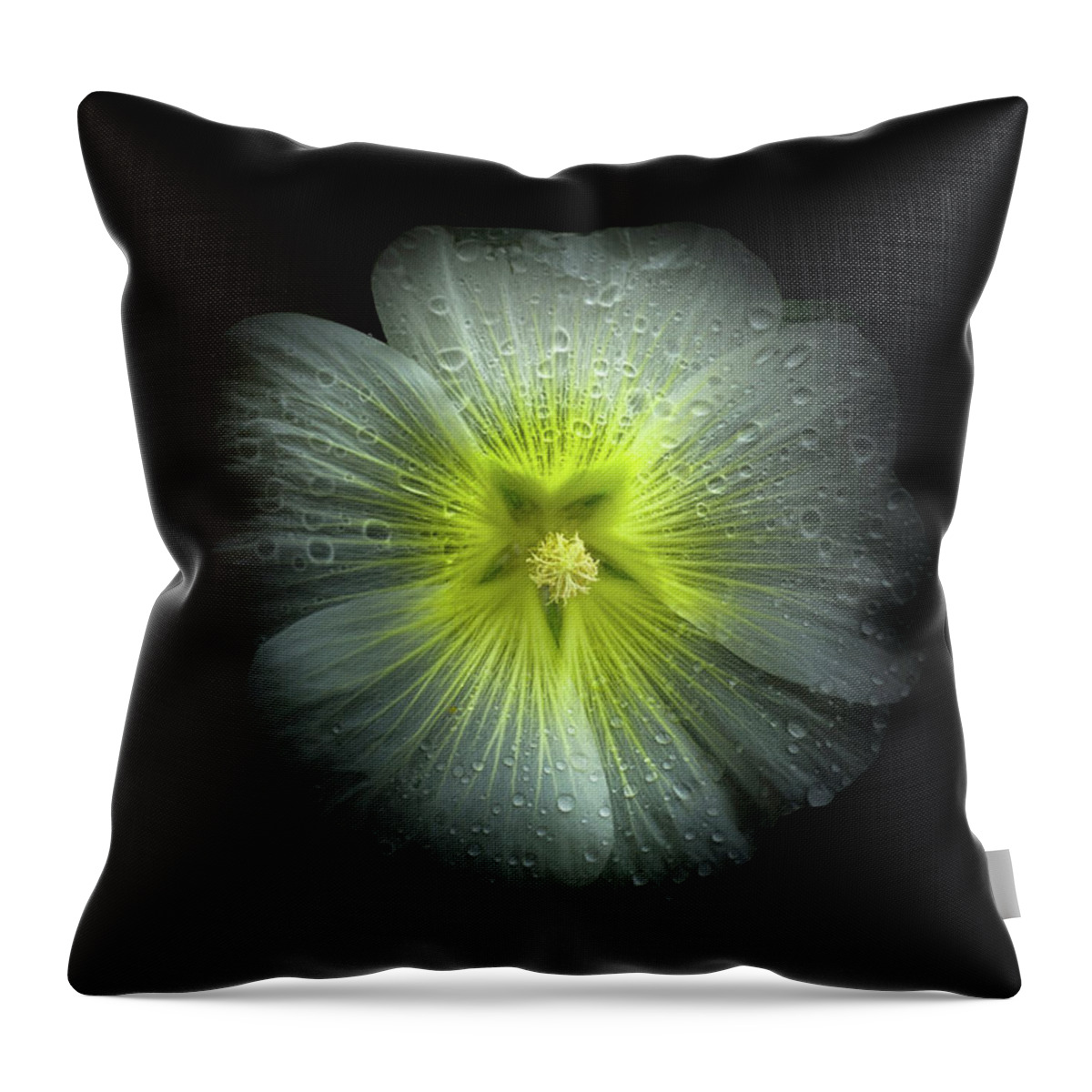 Brian Carson Throw Pillow featuring the photograph Backyard Flowers 62 Color Version by Brian Carson