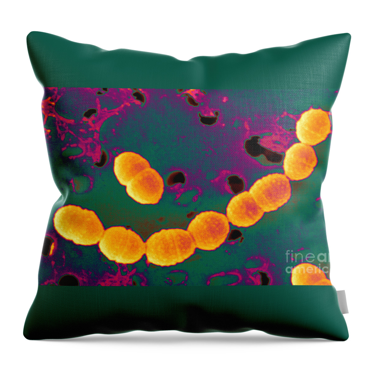 Streptococcus Cremoris Throw Pillow featuring the photograph Bacteria, Streptococcus Cremoris, Sem by Scimat