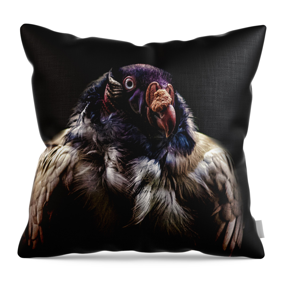 Vulture Throw Pillow featuring the photograph Bad Birdy by Martin Newman