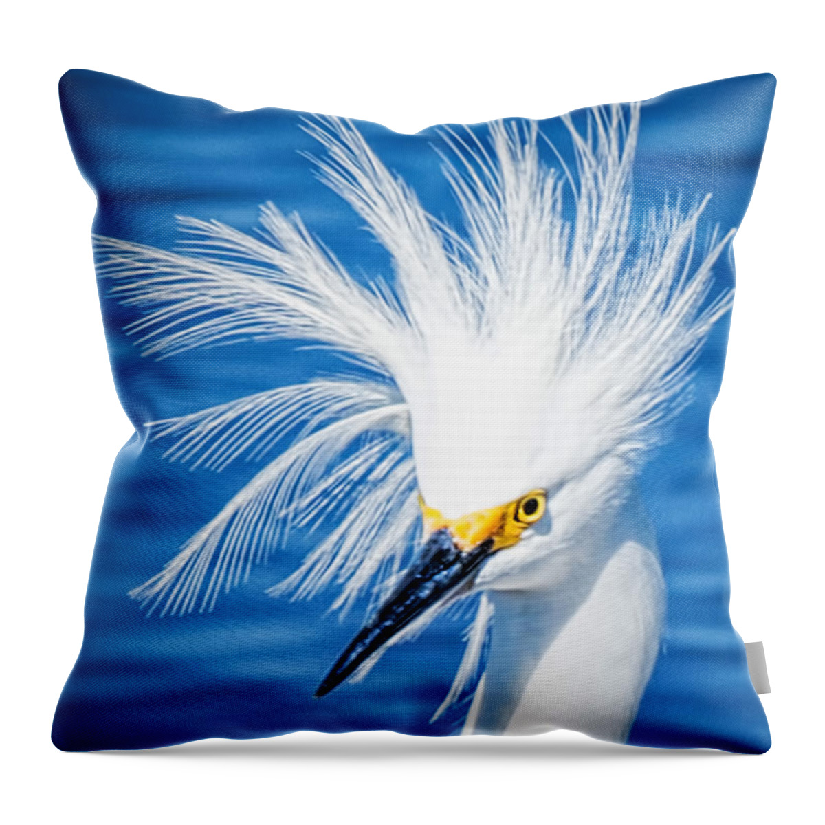 Egret Throw Pillow featuring the photograph Bad Hair Day by Joe Granita