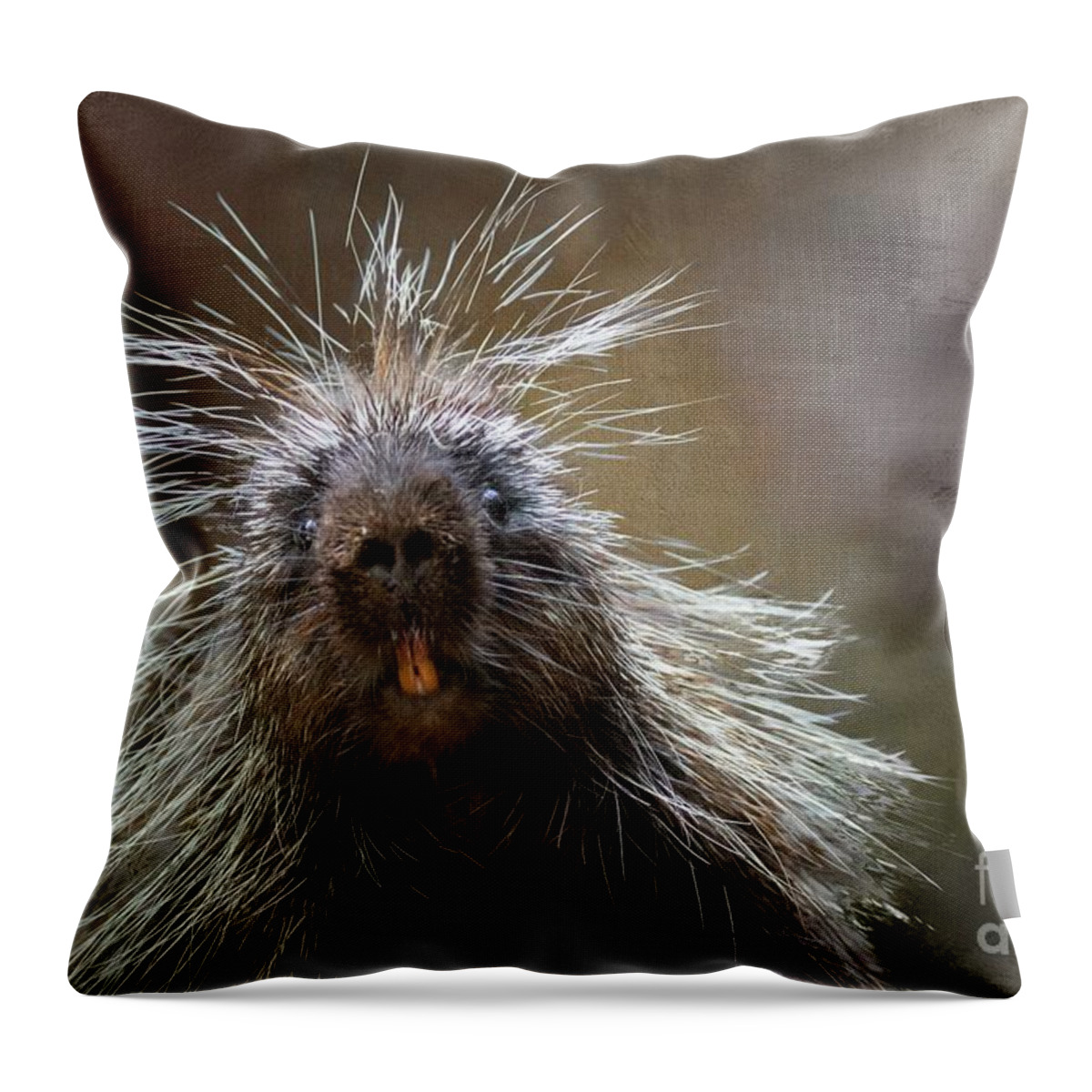 North American Porcupine Throw Pillow featuring the mixed media Bad Hairday by Eva Lechner