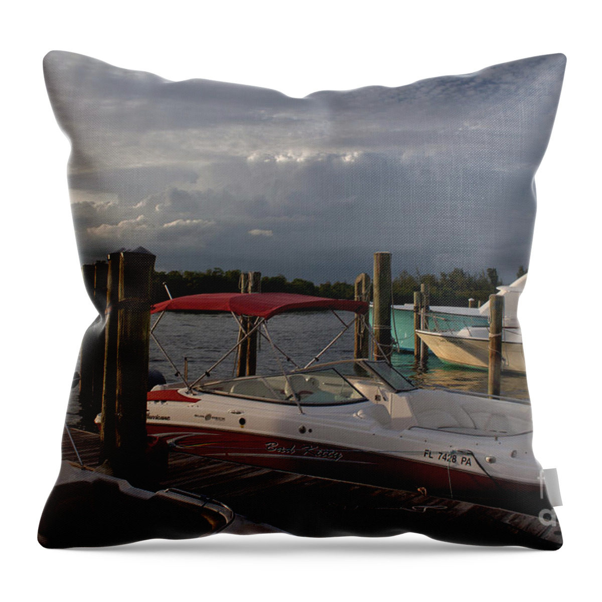 Boat Throw Pillow featuring the photograph Bad Kitty by Ivete Basso Photography
