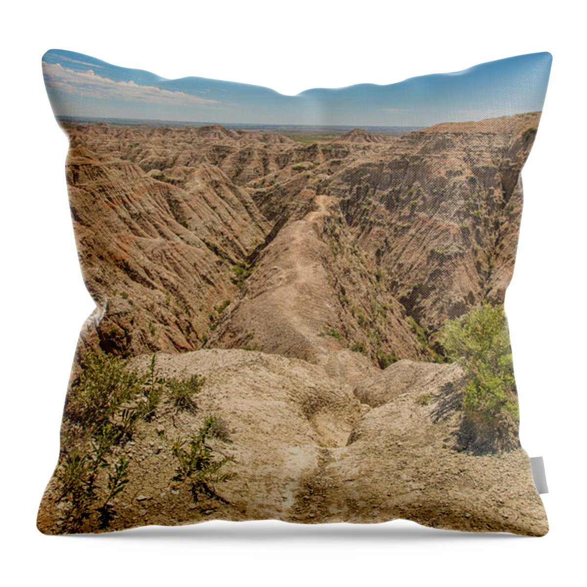 Badlands National Park Throw Pillow featuring the photograph Badlands National Park by Brenda Jacobs