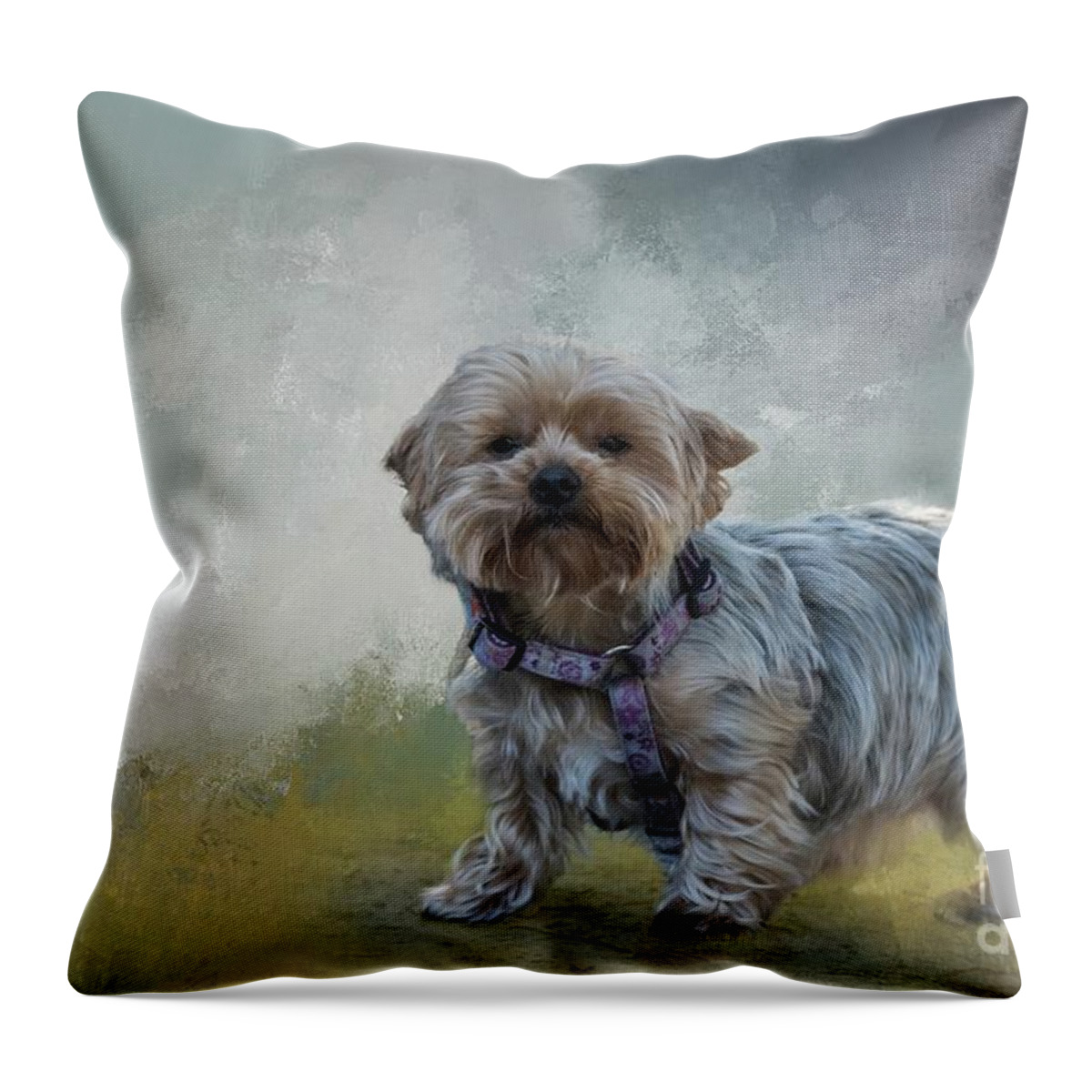 Bailey Throw Pillow featuring the photograph Bailey by Eva Lechner