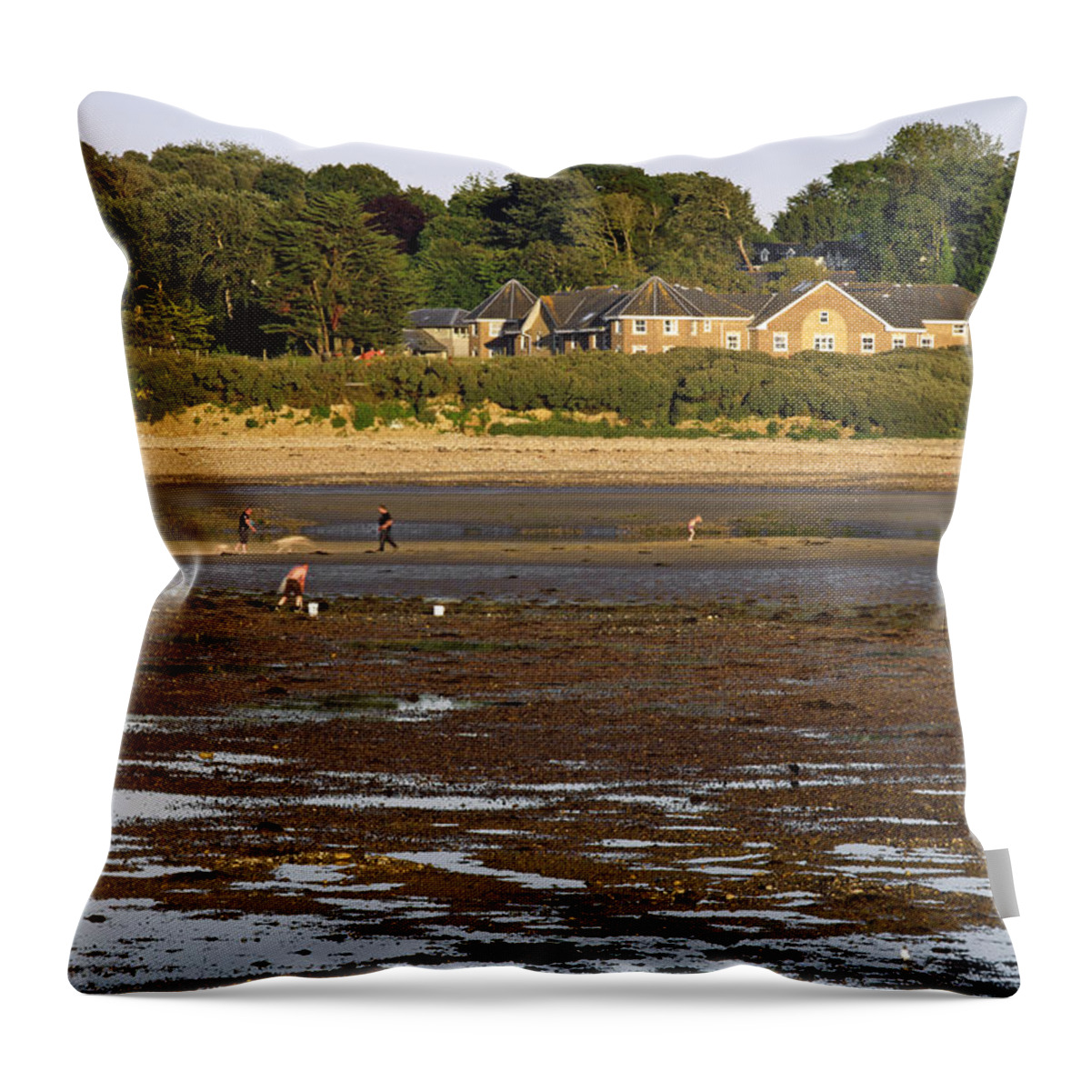 Bright Throw Pillow featuring the photograph Bait Digging At Bembridge by Rod Johnson