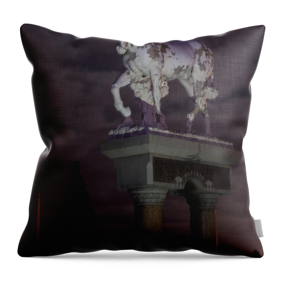 Riverside Cemetery Throw Pillow featuring the photograph Baker Horse Under the Full Moon by Stephen Johnson