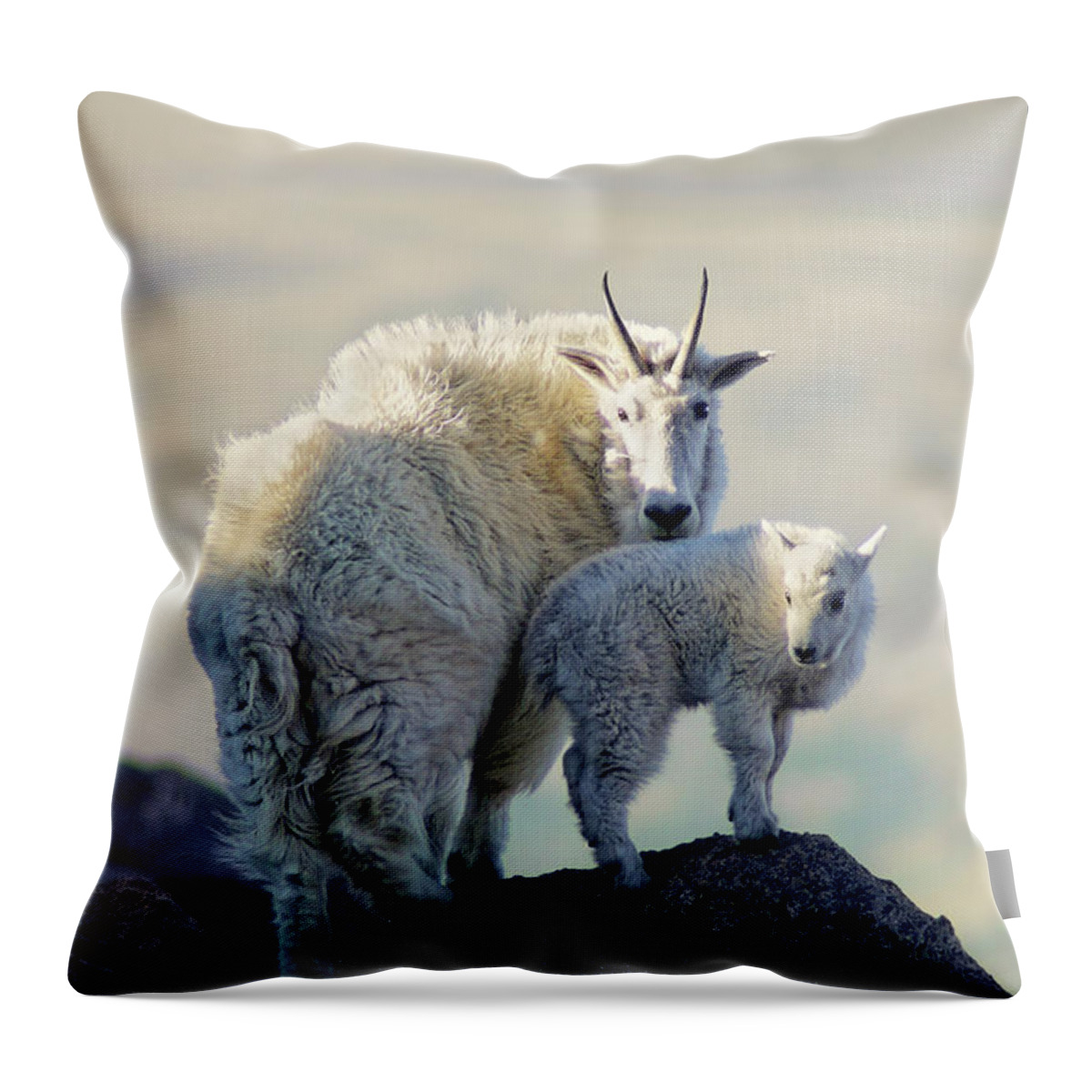 Goat Throw Pillow featuring the photograph Balance by John De Bord
