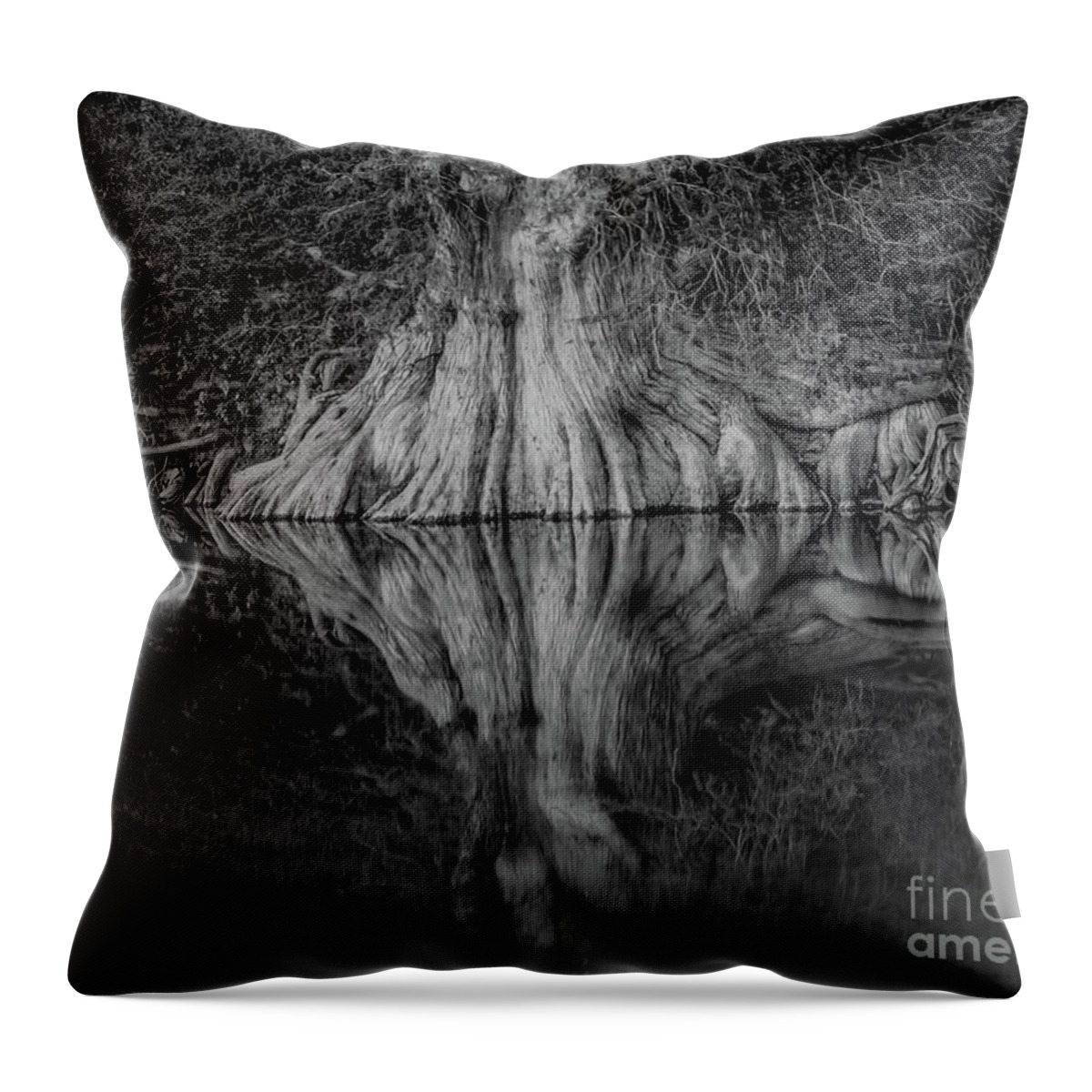 Bald Cypress Reflection In Black And White Michael Tidwell Guadalupe River Mike Tidwell Throw Pillow featuring the photograph Bald Cypress Reflection in Black and White by Michael Tidwell