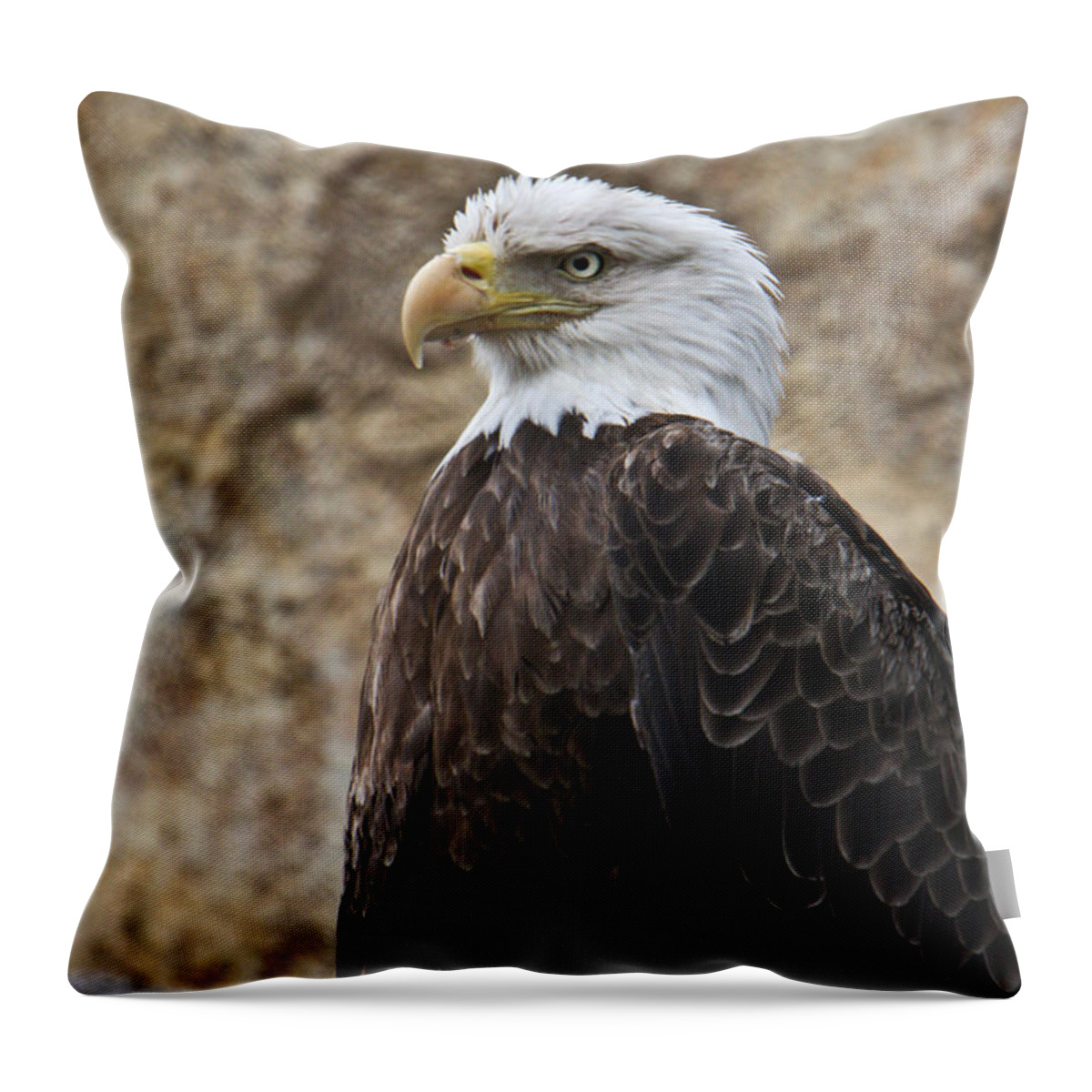 Bald Throw Pillow featuring the photograph Bald Eagle - Portrait 2 by Douglas Barnett