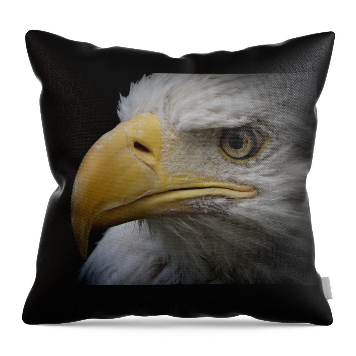 Animal Throw Pillow featuring the photograph Bald Eagle 2 by Ernest Echols