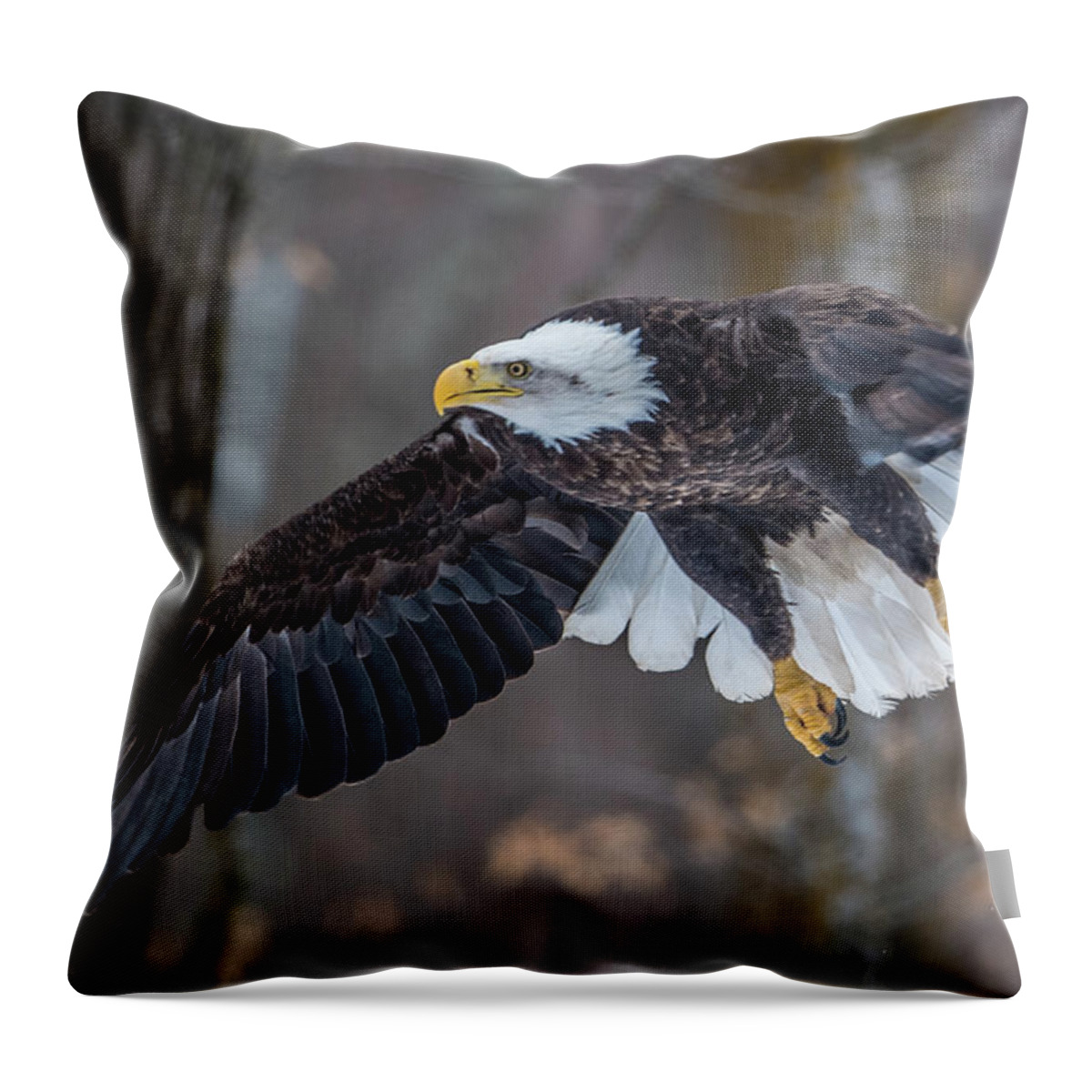 Bald Eagle Throw Pillow featuring the photograph Bald Eagle Flying Thru the Forest by Paul Freidlund