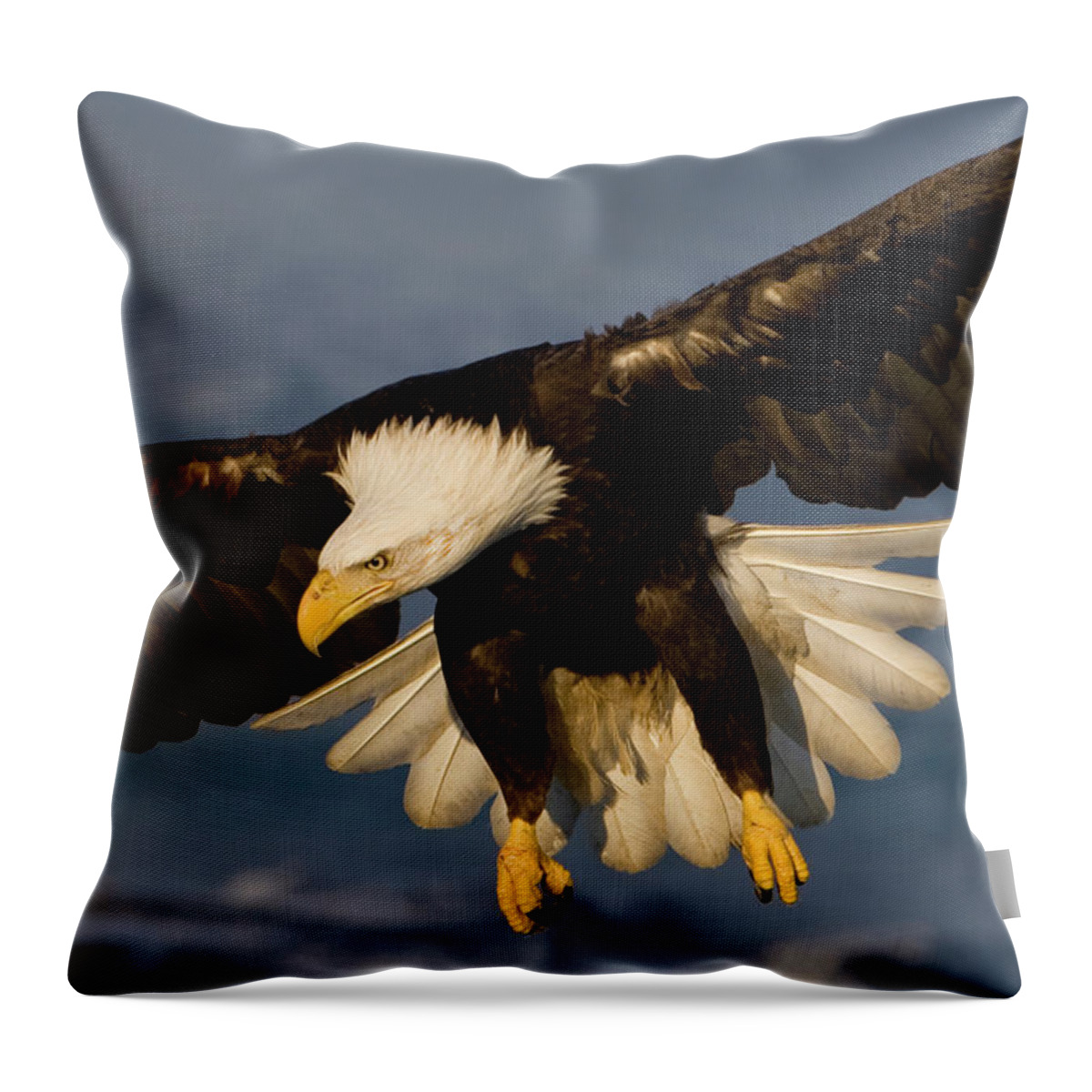 Eagle Throw Pillow featuring the photograph Bald Eagle in Action by Mark Miller