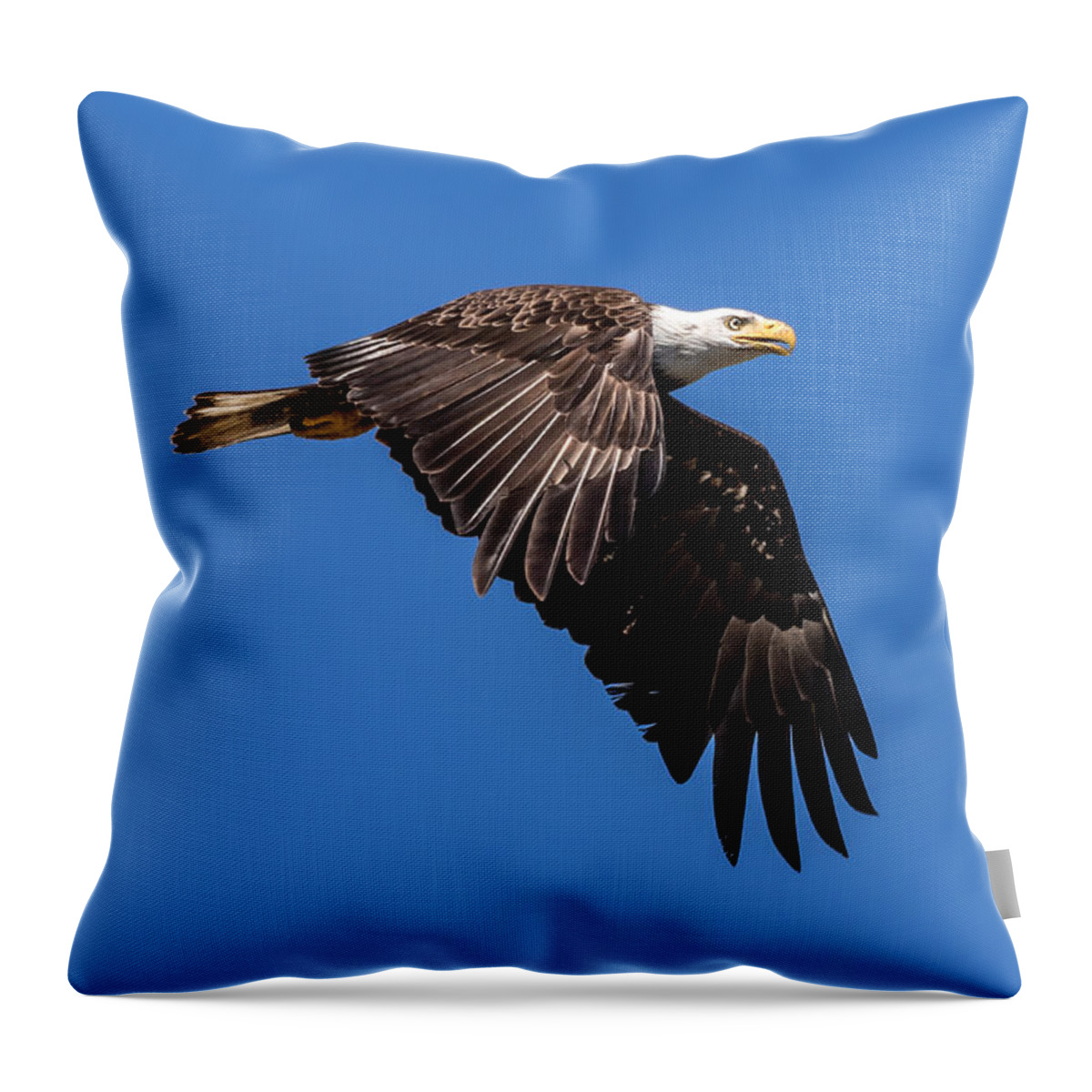 Bald Throw Pillow featuring the photograph Bald Eagle in Flight by Rob Green