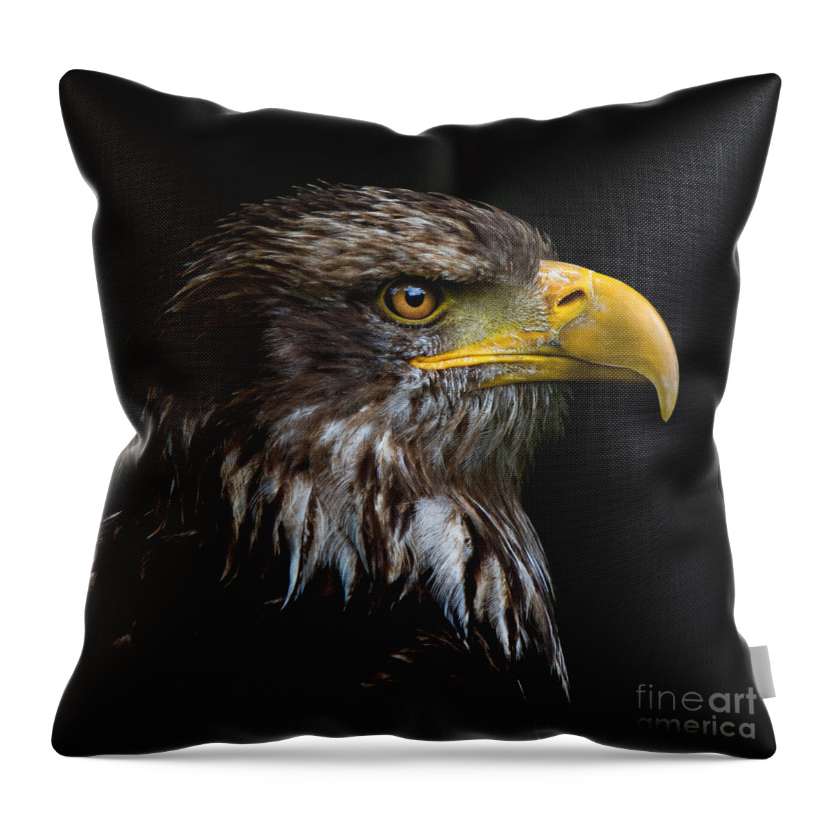 Adler Throw Pillow featuring the photograph Bald Eagle by Joerg Lingnau