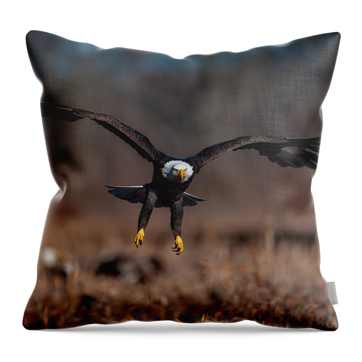 Nature Throw Pillow featuring the photograph Bald Eagle Landing by Jeff Phillippi
