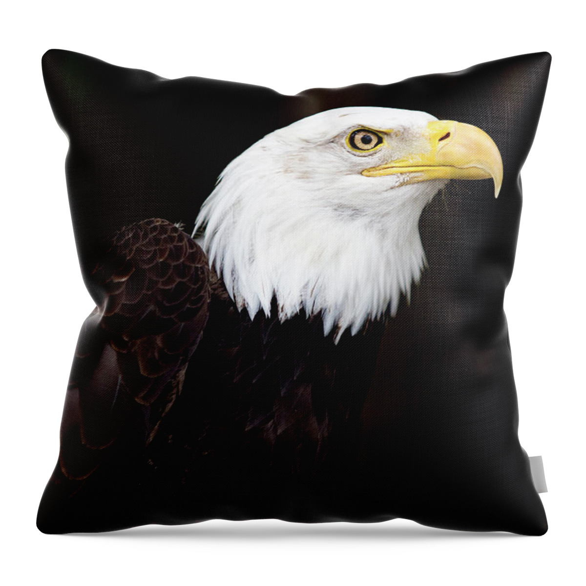 The Animal Throw Pillow featuring the digital art Bald Eagle - PNW by Birdly Canada