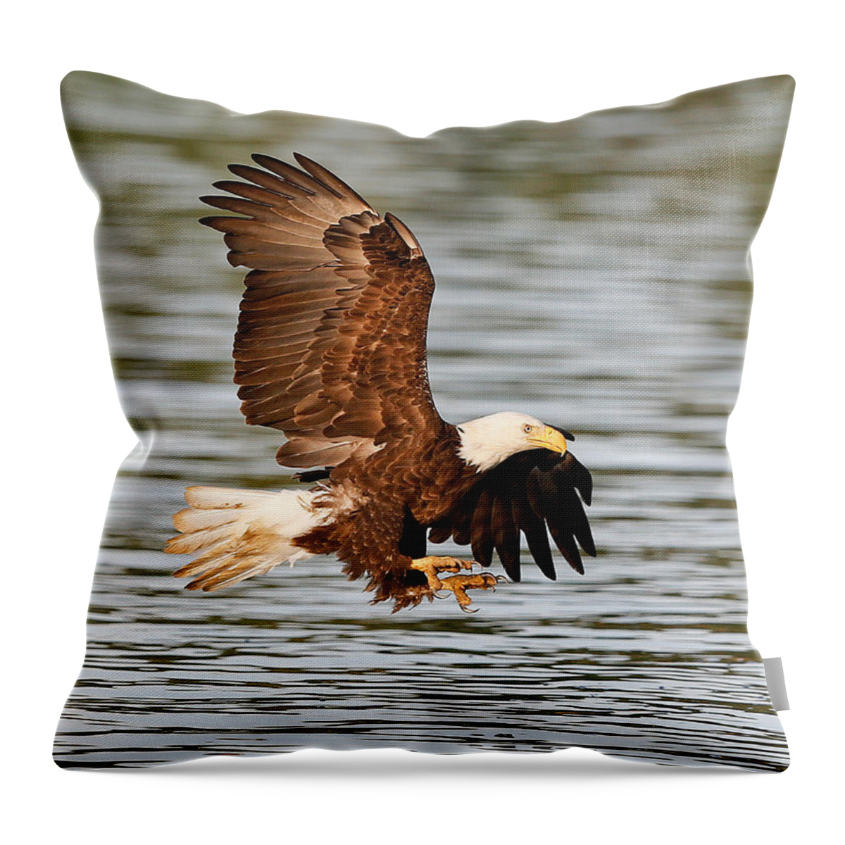 Bald Throw Pillow featuring the photograph Bald Eagle Talons by Jack Nevitt
