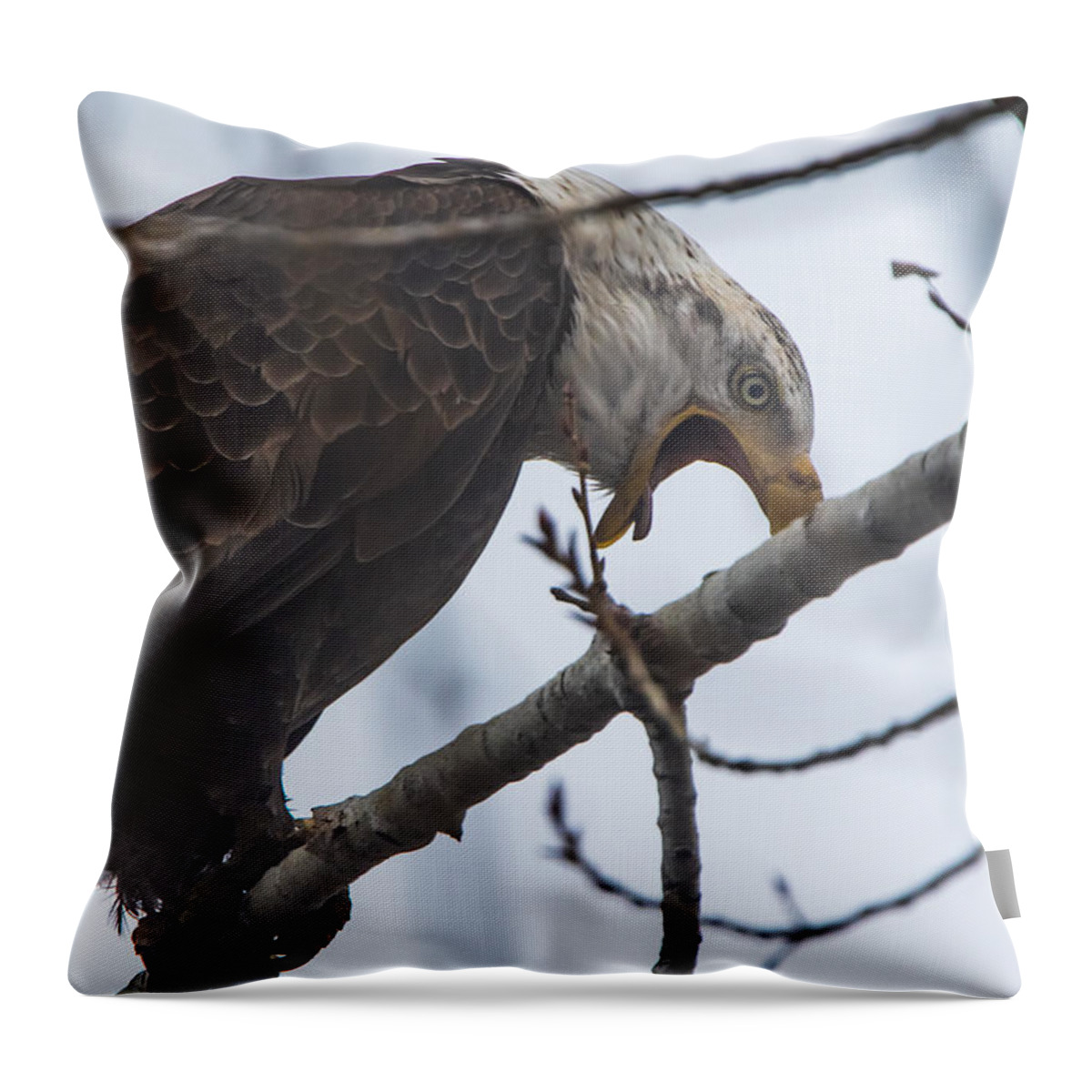 California Throw Pillow featuring the photograph Bald Eagle Upset by Marc Crumpler