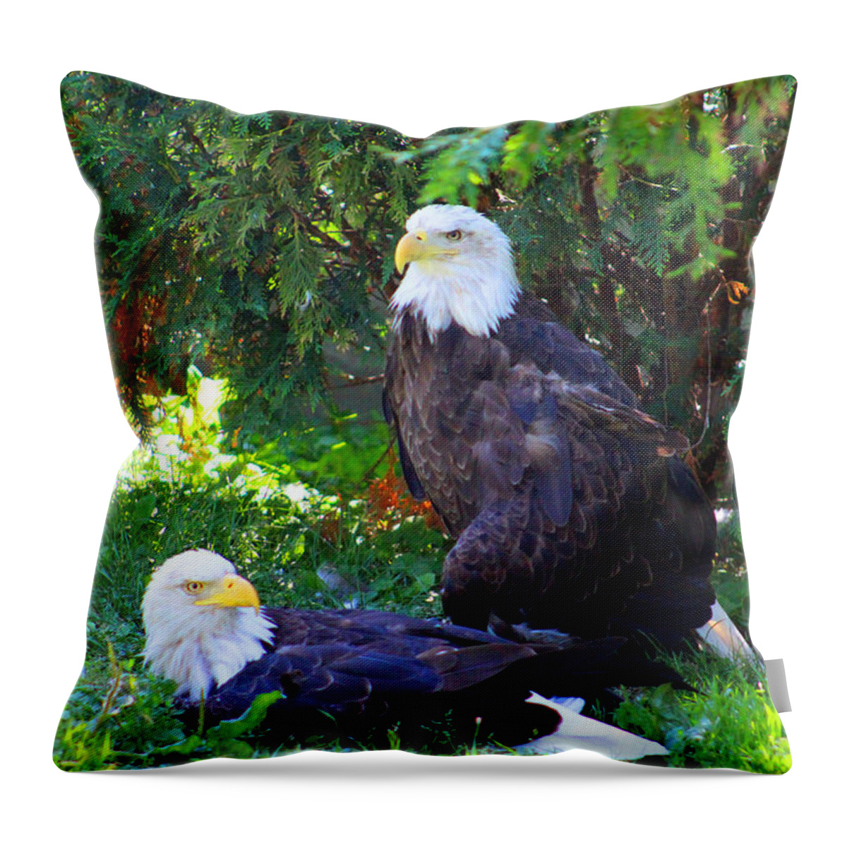 Eagle Throw Pillow featuring the photograph Bald Eagles by Michael Rucker