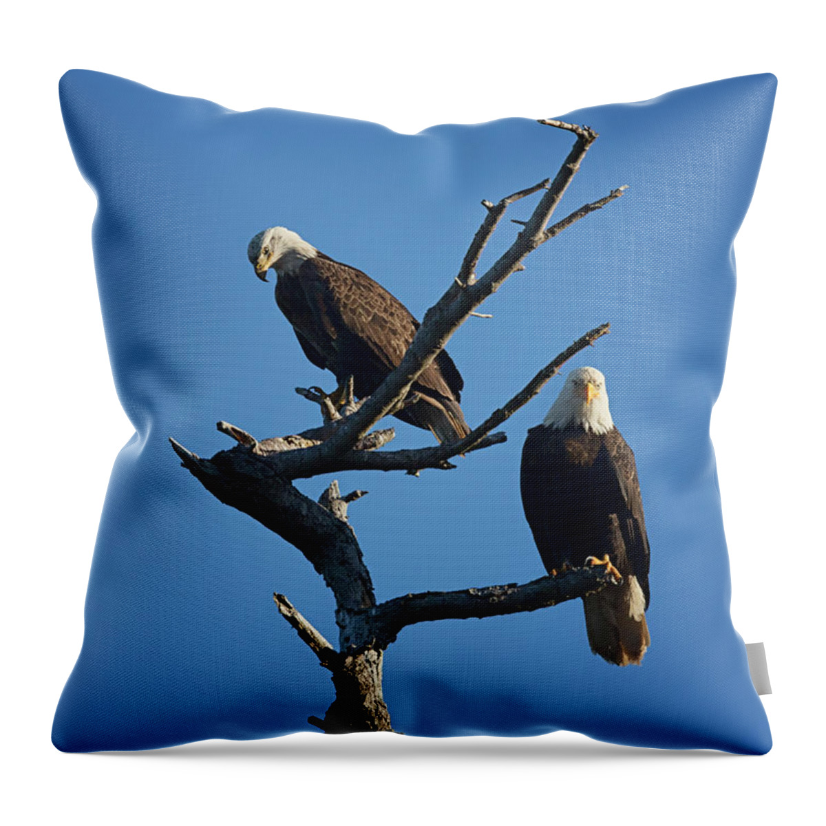 Bald Eagles Throw Pillow featuring the photograph Bald Eagles by Randy Hall