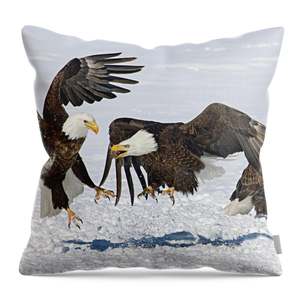 Eagle Throw Pillow featuring the photograph Bald Eagle's by Wesley Aston