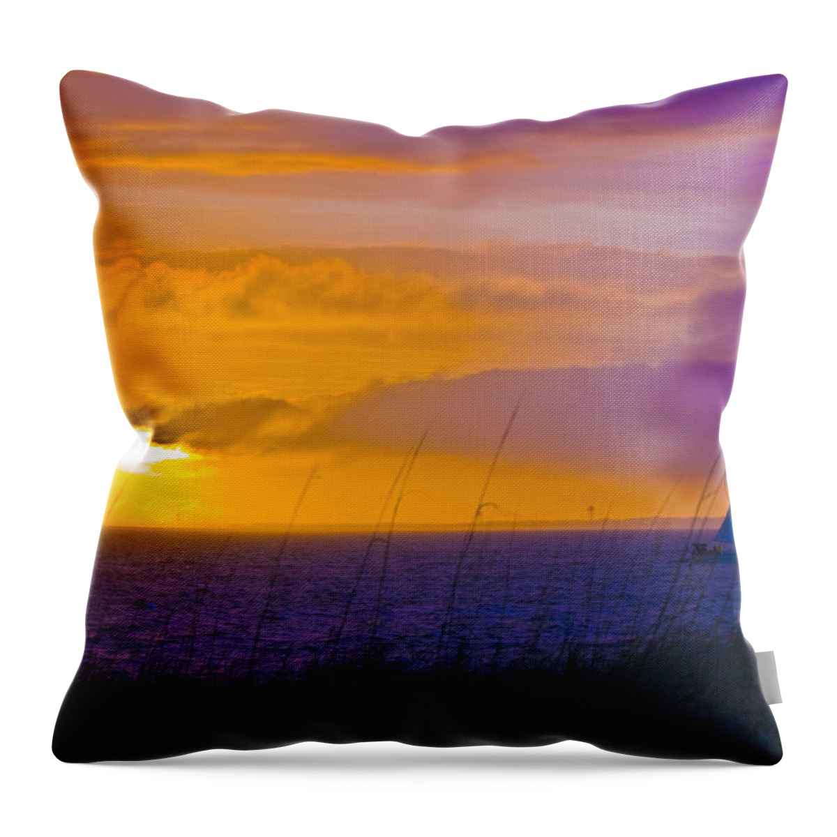 Bald Head Island Throw Pillow featuring the photograph Bald Head Island Study 10 by Betsy Knapp