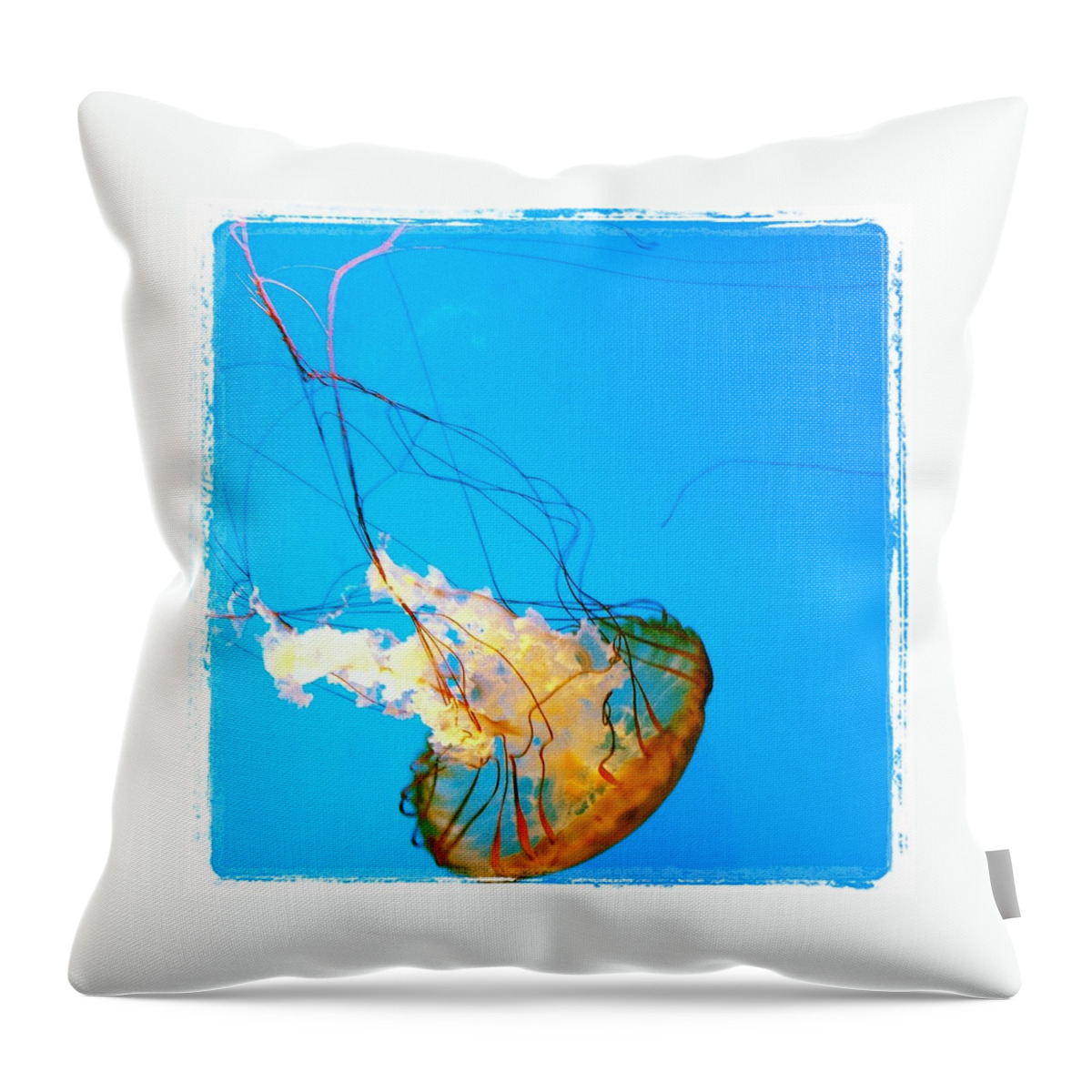 Aquarium Throw Pillow featuring the photograph Baltimore Jellyfish by Will Felix