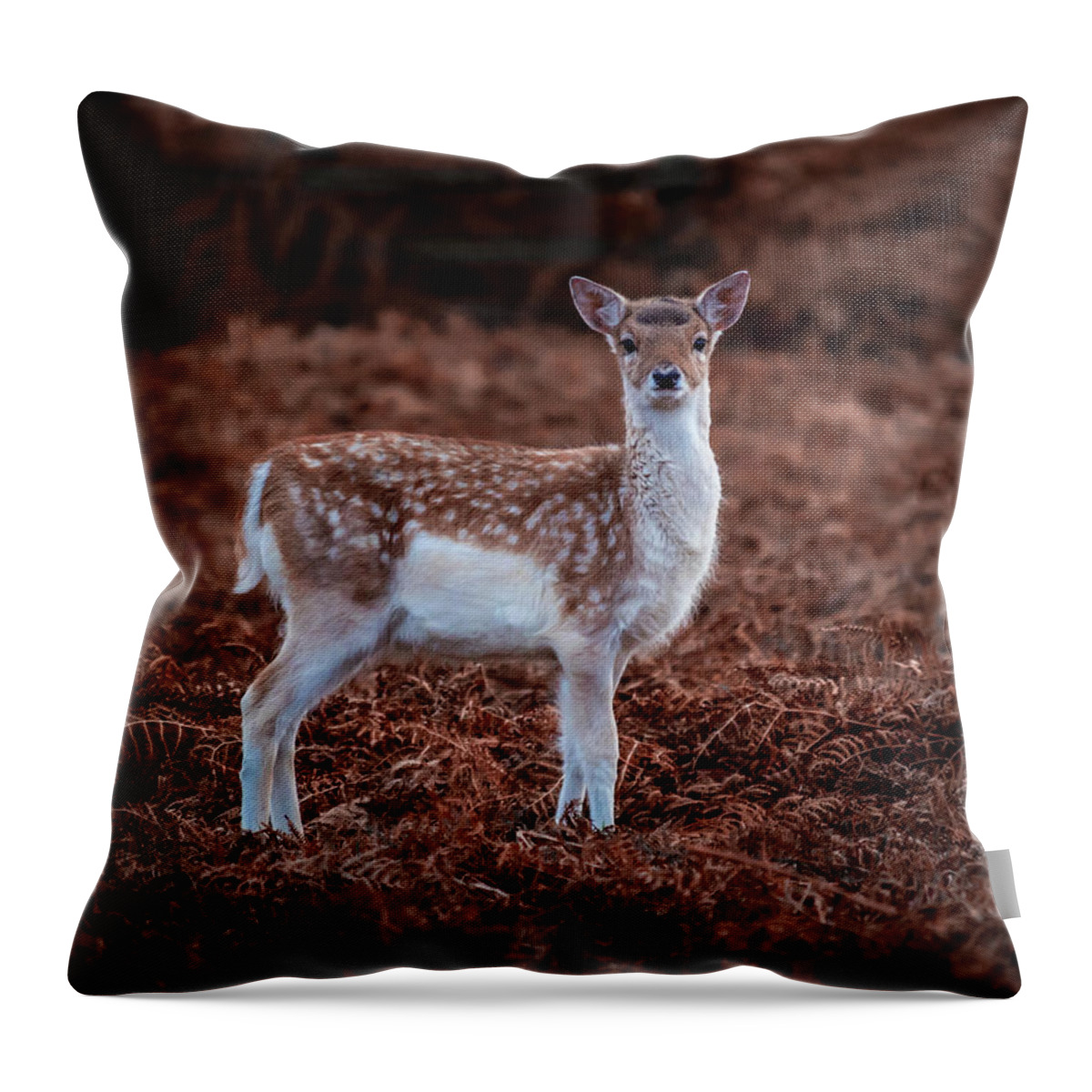 Deer Throw Pillow featuring the photograph Bambi in the Bracken by Nick Bywater