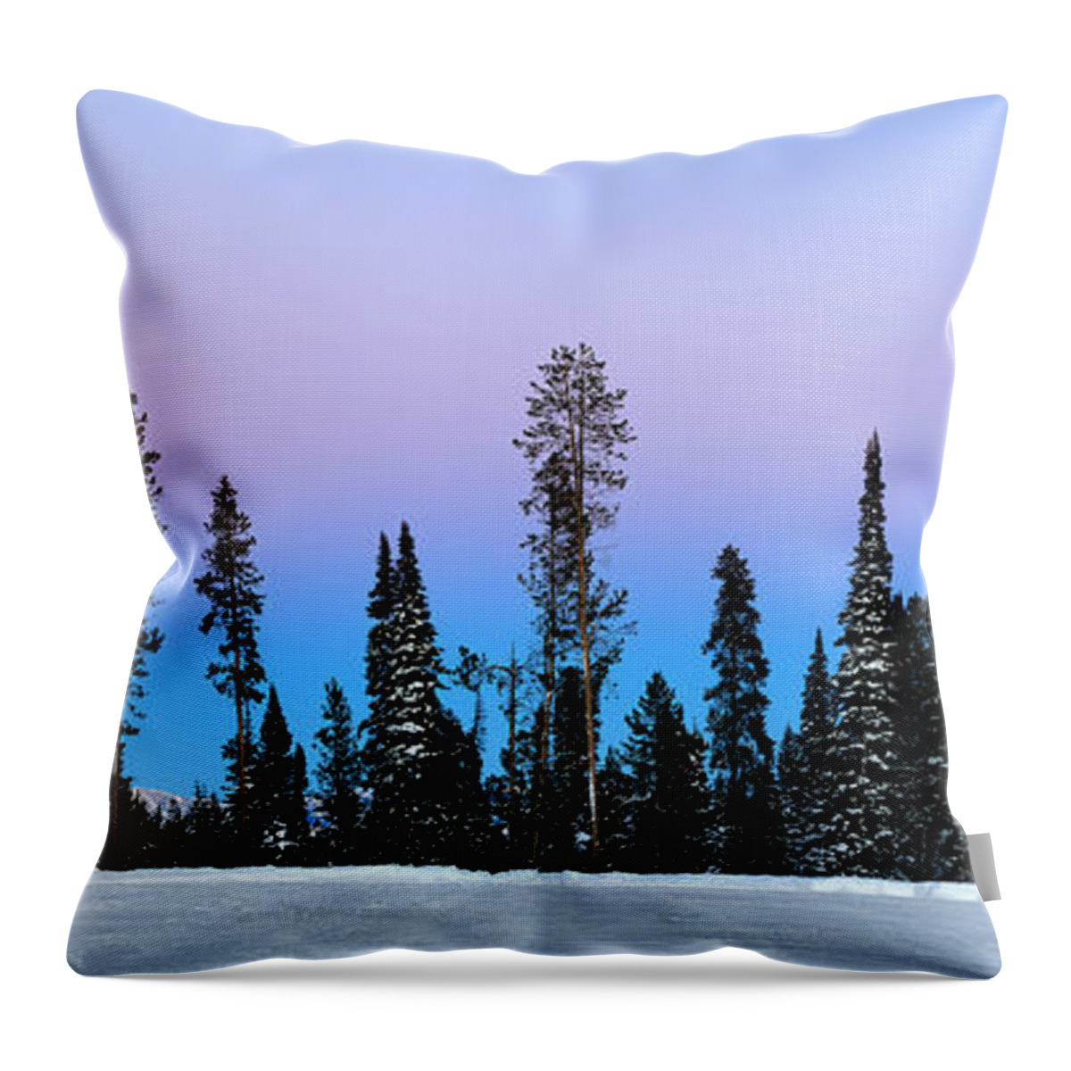 Band Throw Pillow featuring the photograph Band of Blue by David Andersen
