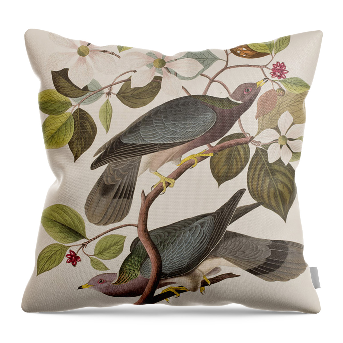 Pigeon Throw Pillow featuring the painting Band-tailed Pigeon by John James Audubon