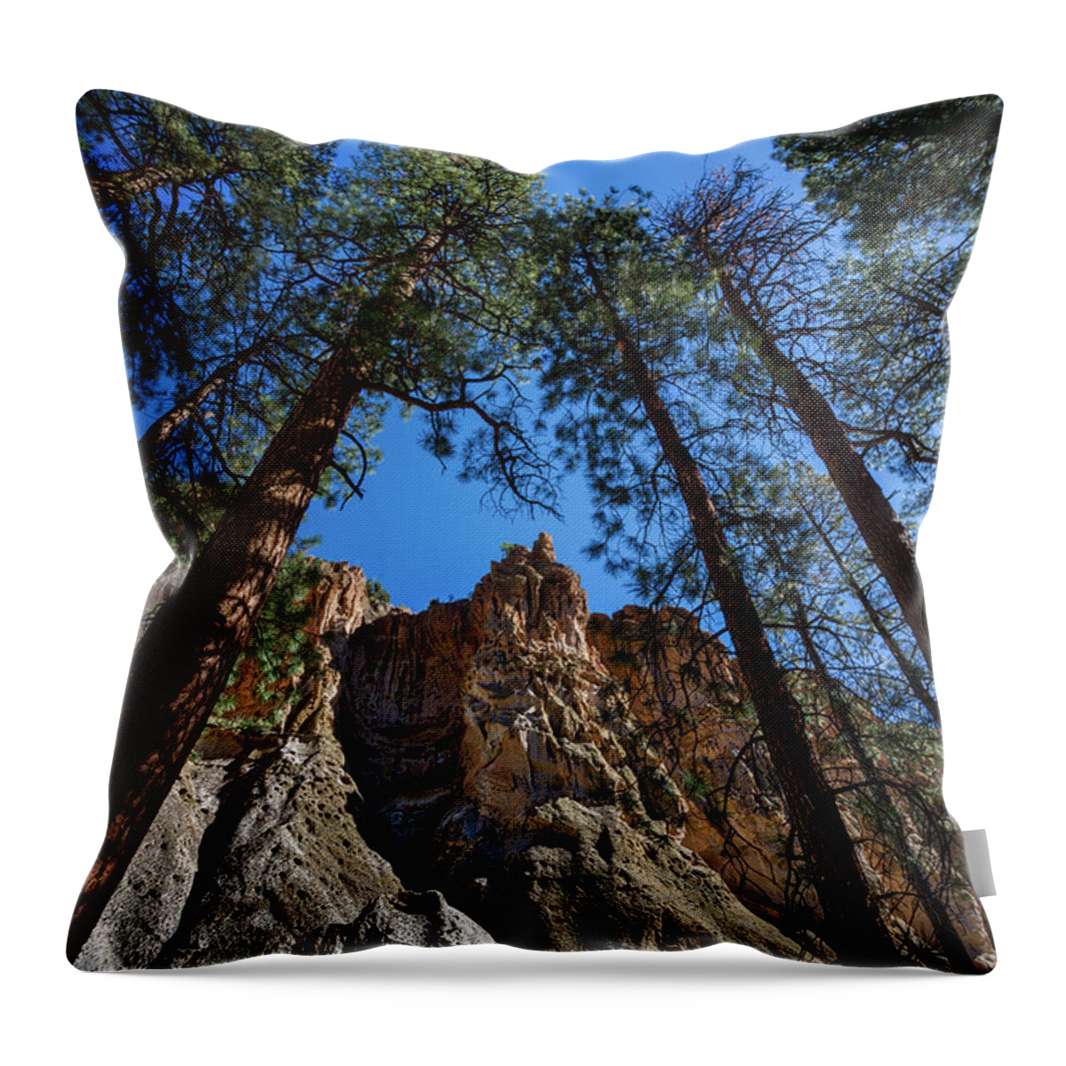 Bandelier Throw Pillow featuring the photograph Bandelier Cliffs and Trees by Stuart Litoff