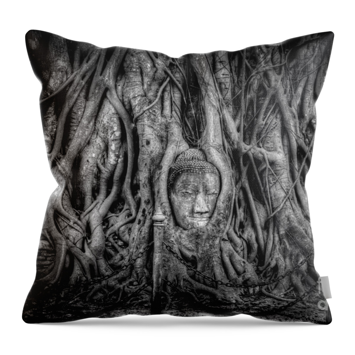 Ayutthaya Throw Pillow featuring the photograph Banyan Tree Buddha #1 by Adrian Evans