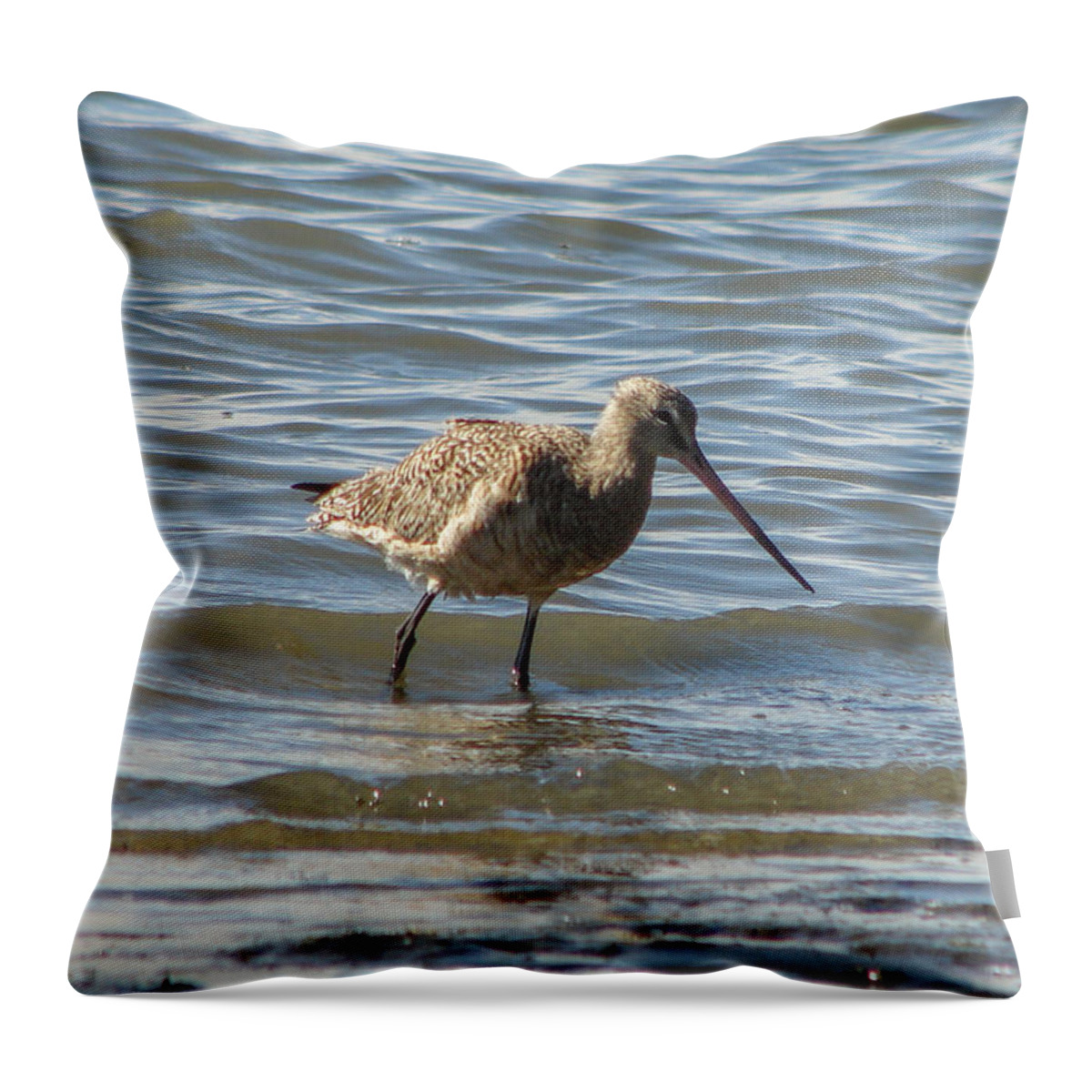 Birds Throw Pillow featuring the photograph Bar-tailed Godwit by Carl Moore