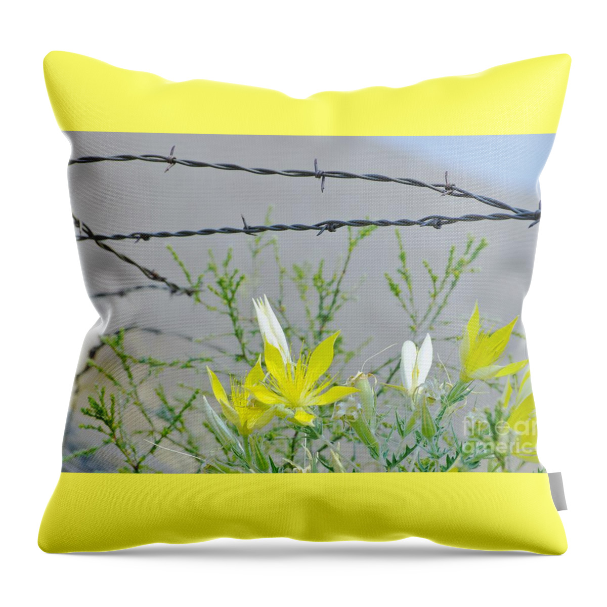 Barb Wire Throw Pillow featuring the photograph Barb Wire Beauty by Merle Grenz