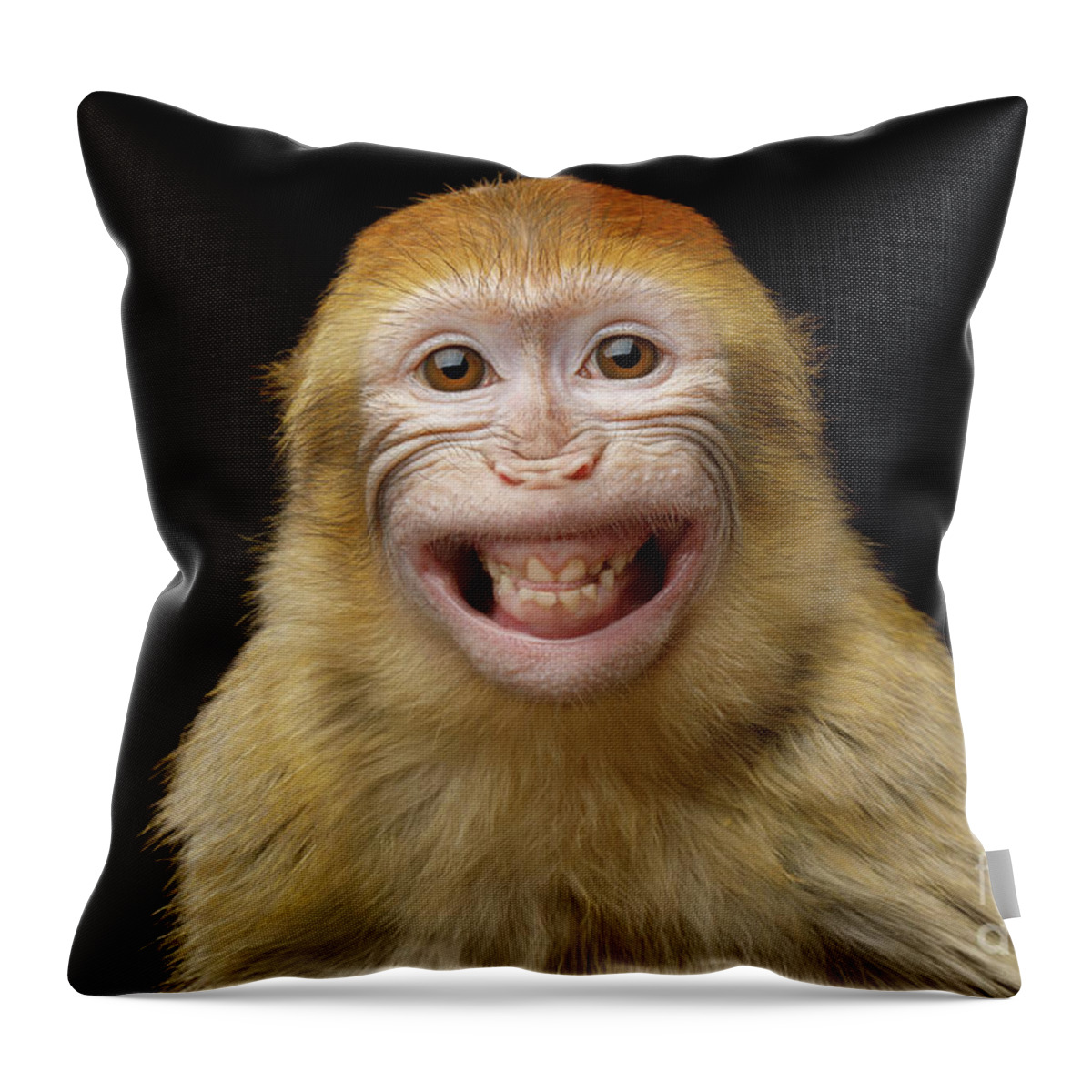 Barbary Throw Pillow featuring the photograph Barbary macaque smiling by Sergey Taran