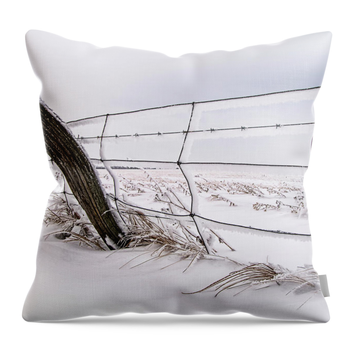 Fence Throw Pillow featuring the photograph Barbed Wire and Hoar Frost by Dan Jurak