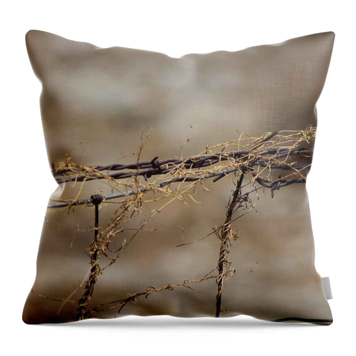 Golden Throw Pillow featuring the photograph Barbed Wire Entwined with Dried Vine in Autumn by Colleen Cornelius