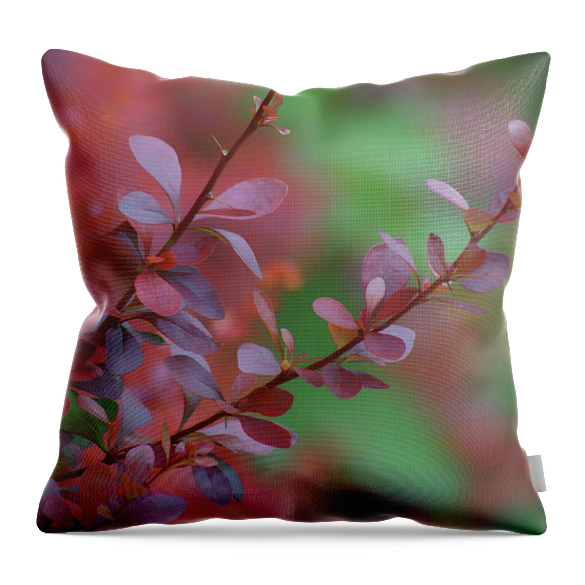 Leaves Throw Pillow featuring the photograph Barberry - Leaves by Nikolyn McDonald