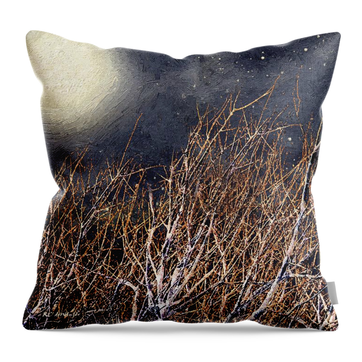 Landscape Throw Pillow featuring the painting Bare Branches by RC DeWinter