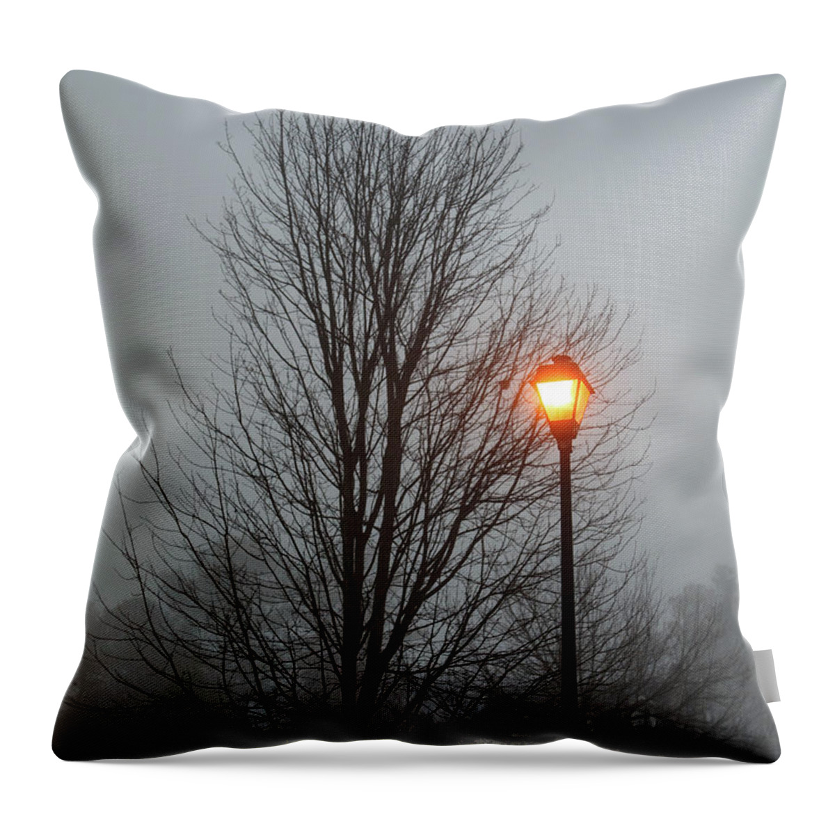 Bare Throw Pillow featuring the photograph Bare Tree and Street Light in Early Morning Fog by Darryl Brooks