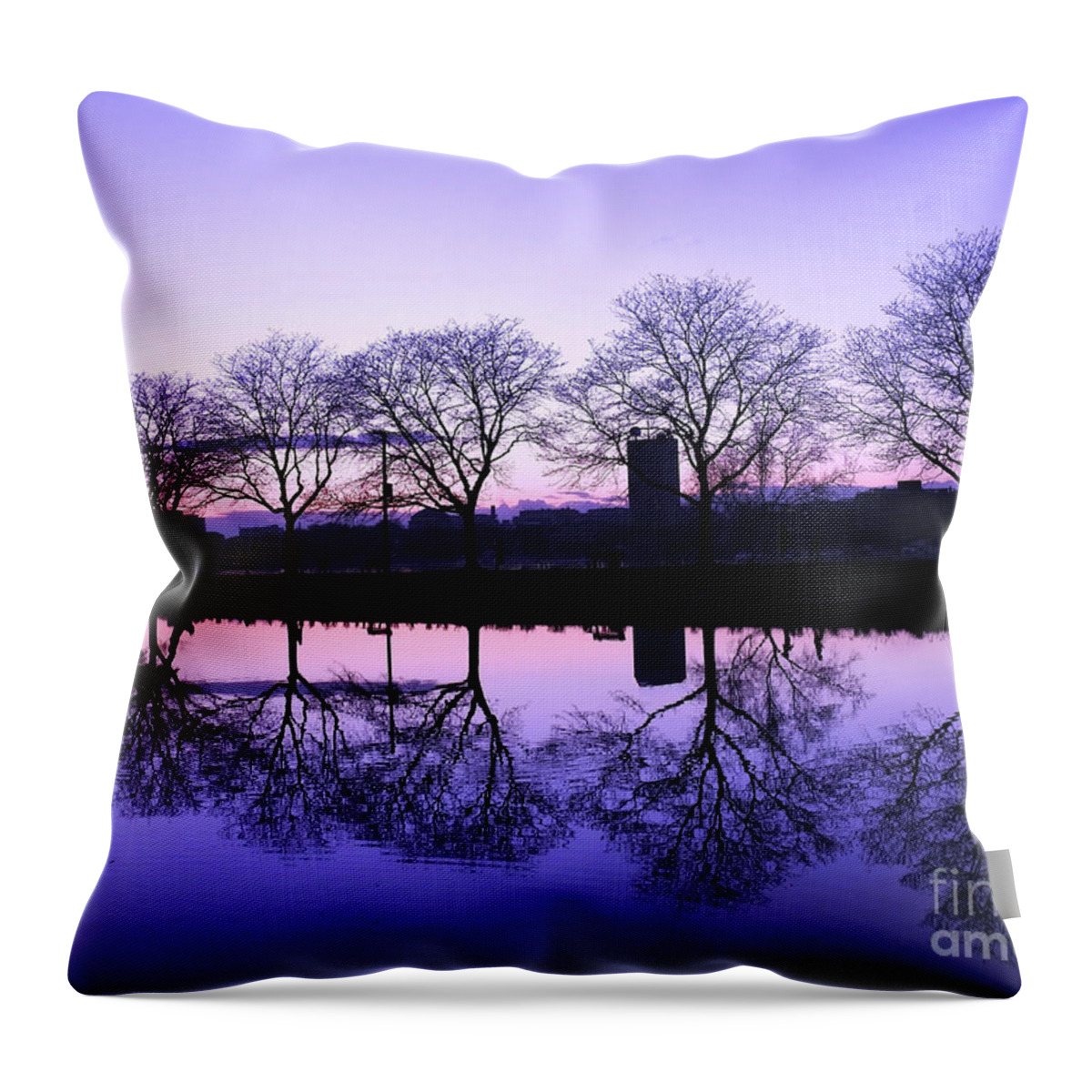 Landscape Throw Pillow featuring the photograph Bare Tree Reflection by Beth Myer Photography