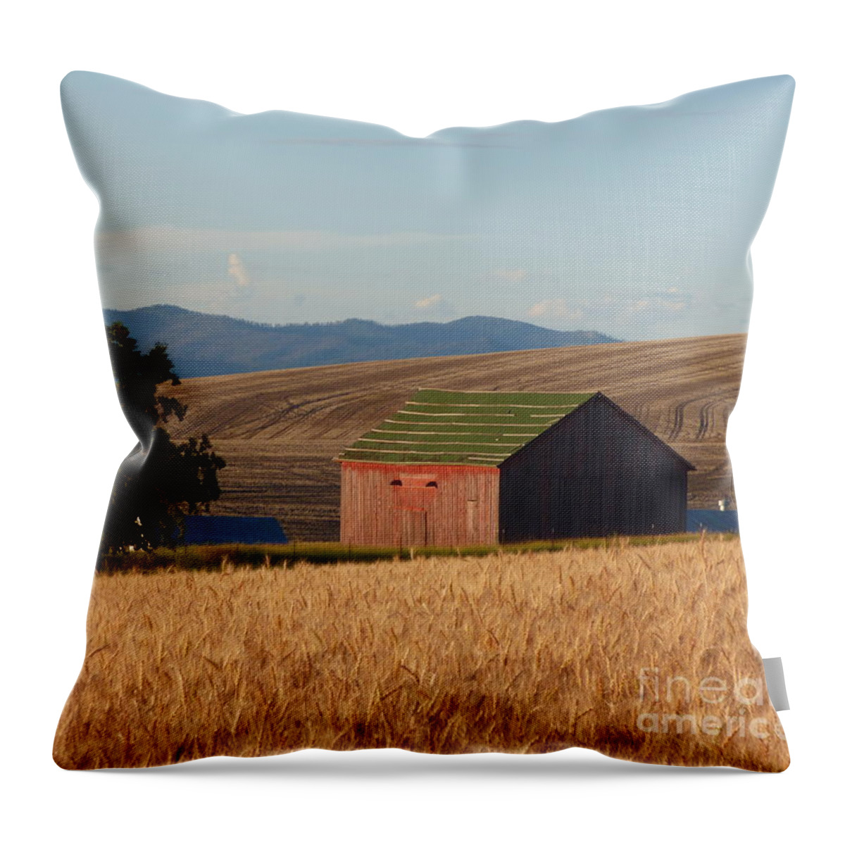 Barn Throw Pillow featuring the photograph Barn and Wheat by Charles Robinson