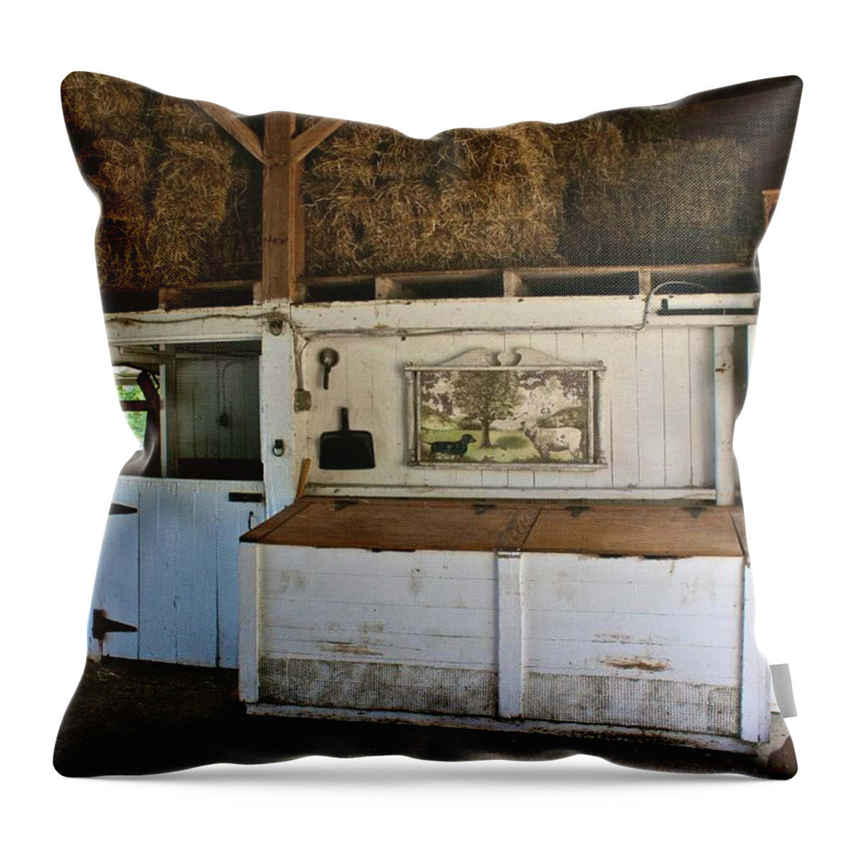 Barn Throw Pillow featuring the photograph Barn at New Pond Farm by Polly Castor