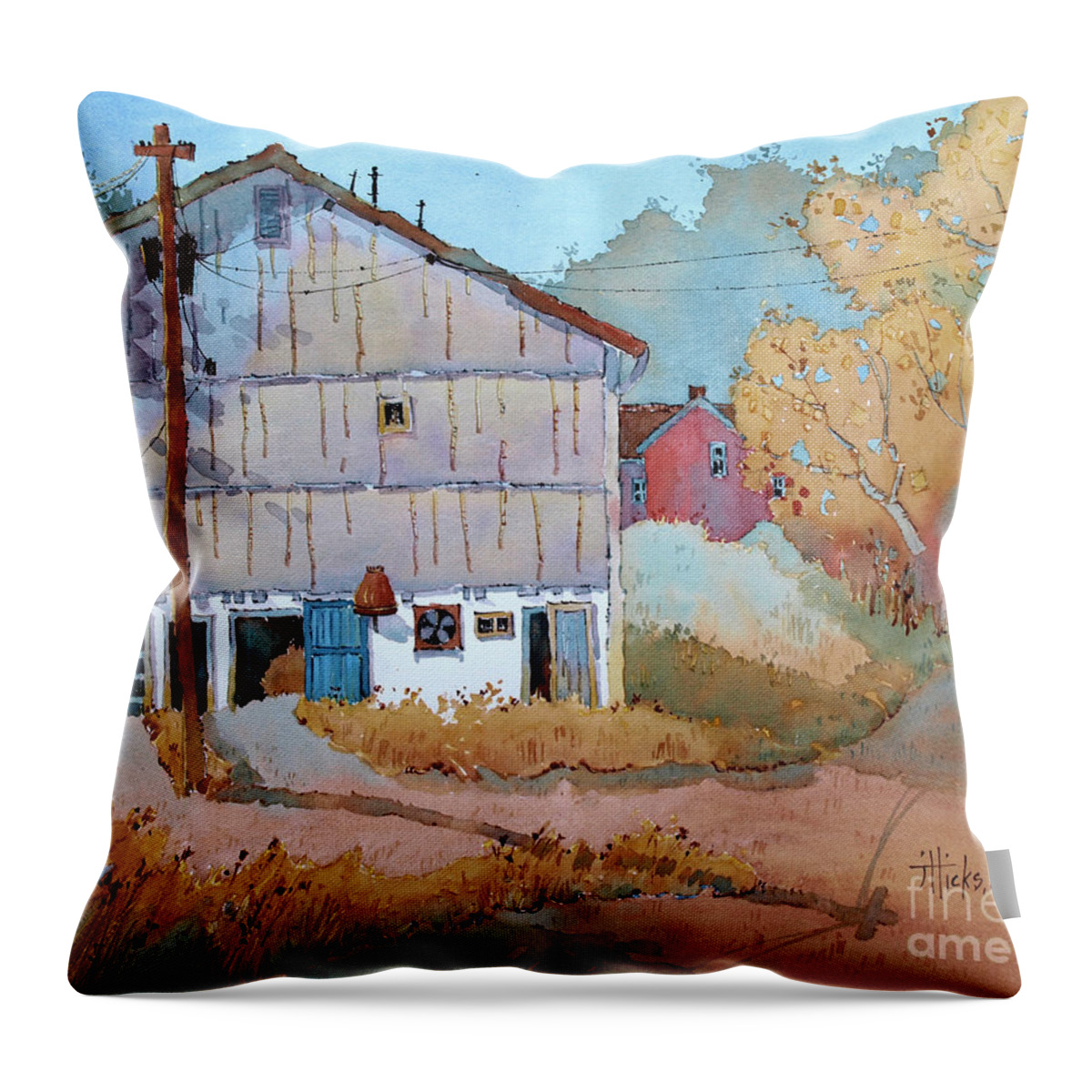 Barn Throw Pillow featuring the painting Barn Door Whimsy by Joyce Hicks