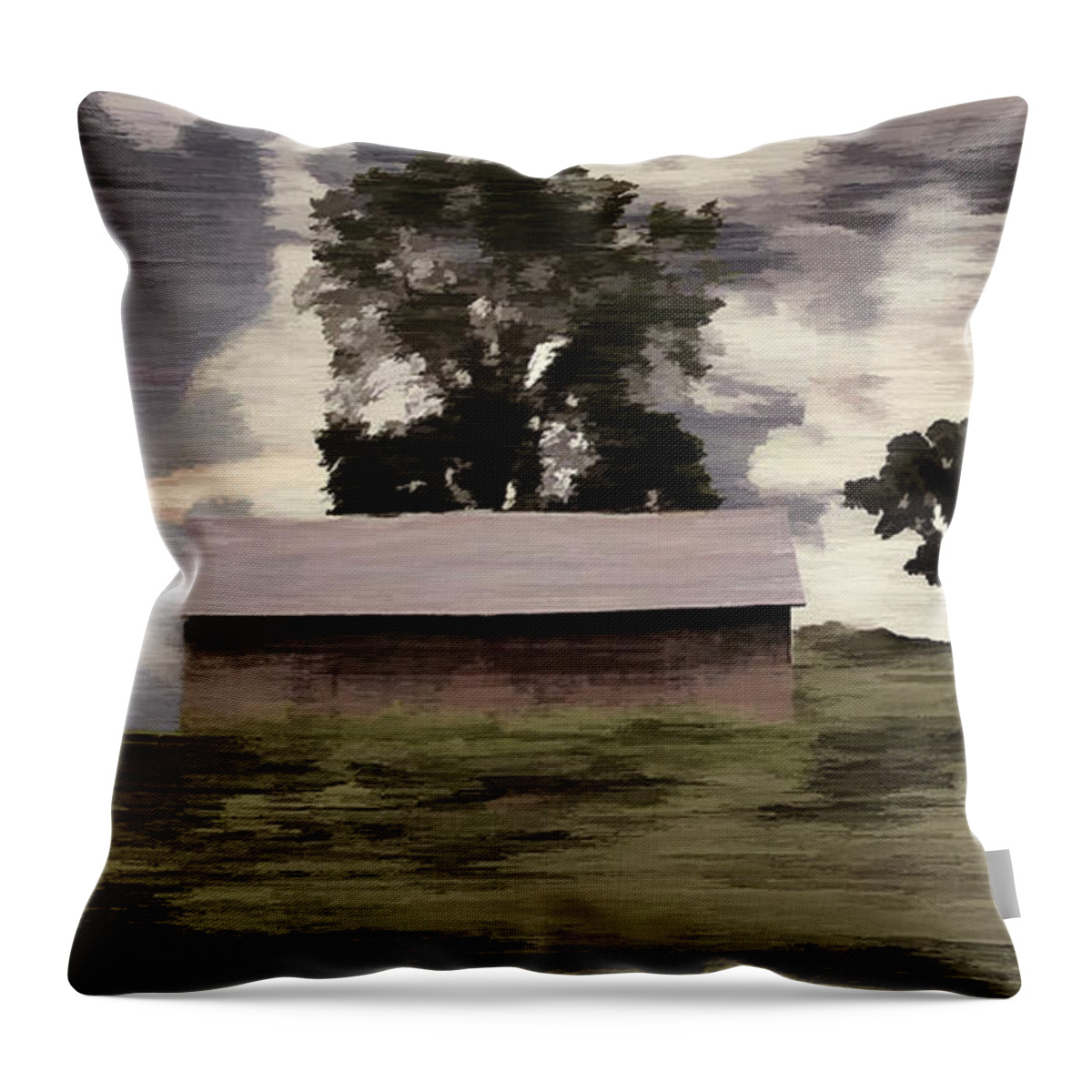 Digital Art Throw Pillow featuring the photograph Barn II A Digital Painting by David Yocum
