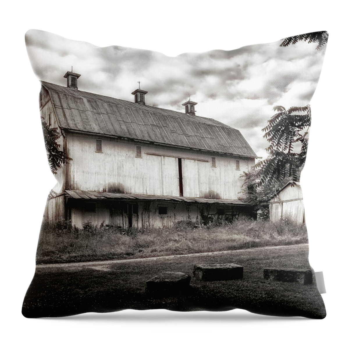 Americana Throw Pillow featuring the photograph Barn in Black and White by Tom Mc Nemar