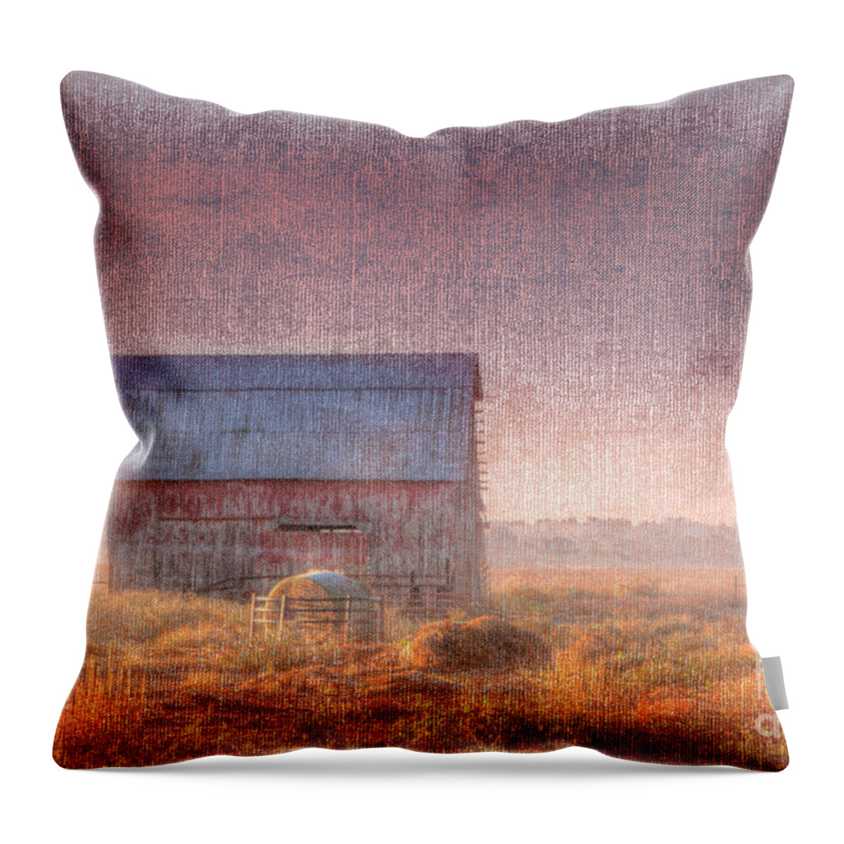Driving Throw Pillow featuring the photograph Barn in Early Light by Larry Braun